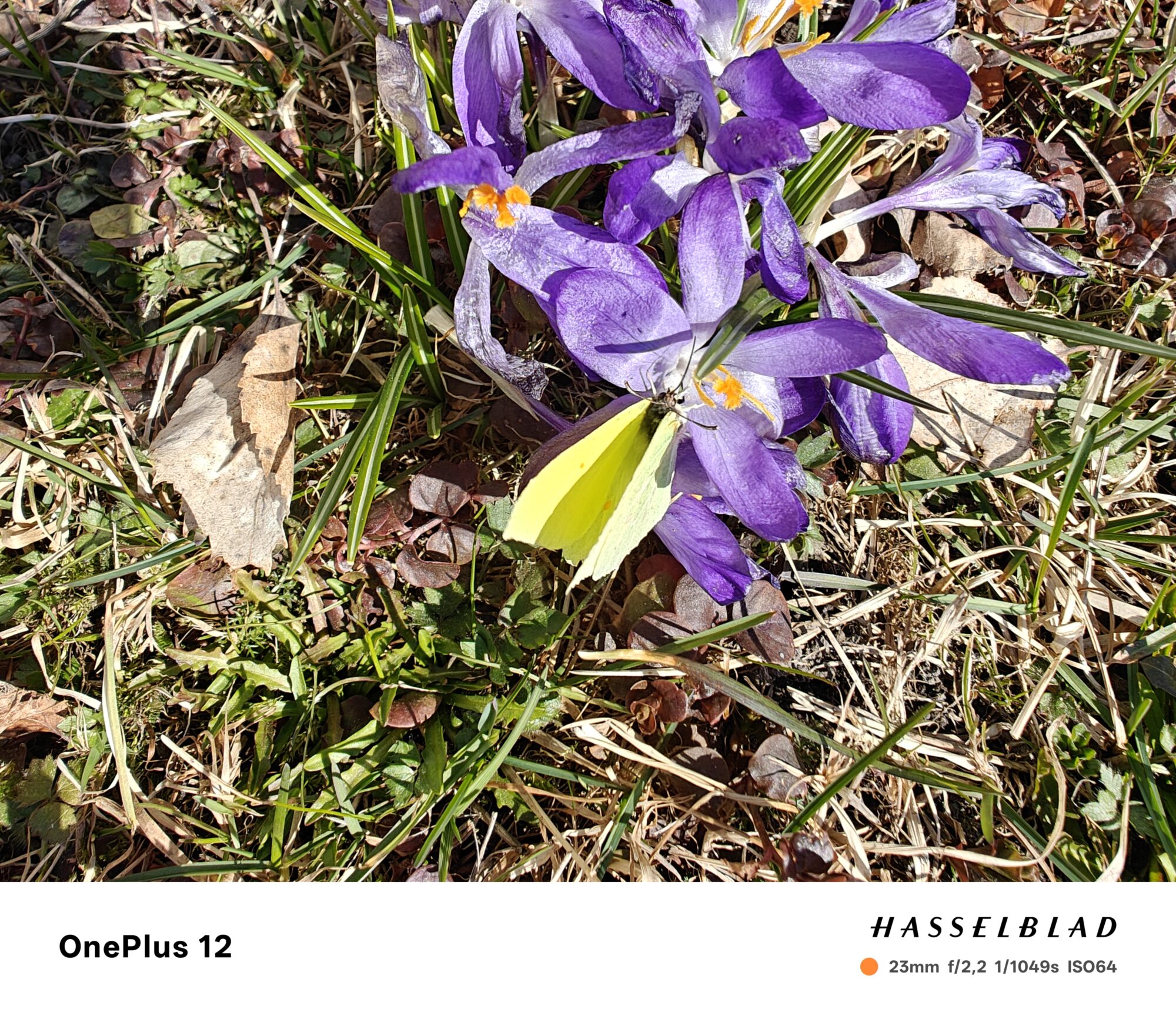 Valokuvaaja: Eija Johanna Saastamoinen