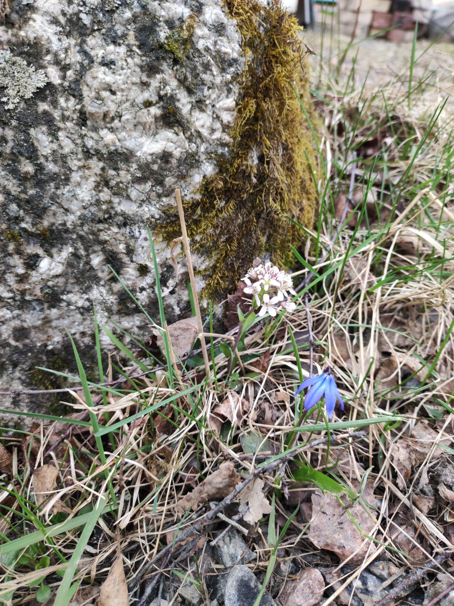 Valokuvaaja: Mirkka Kuivakangas