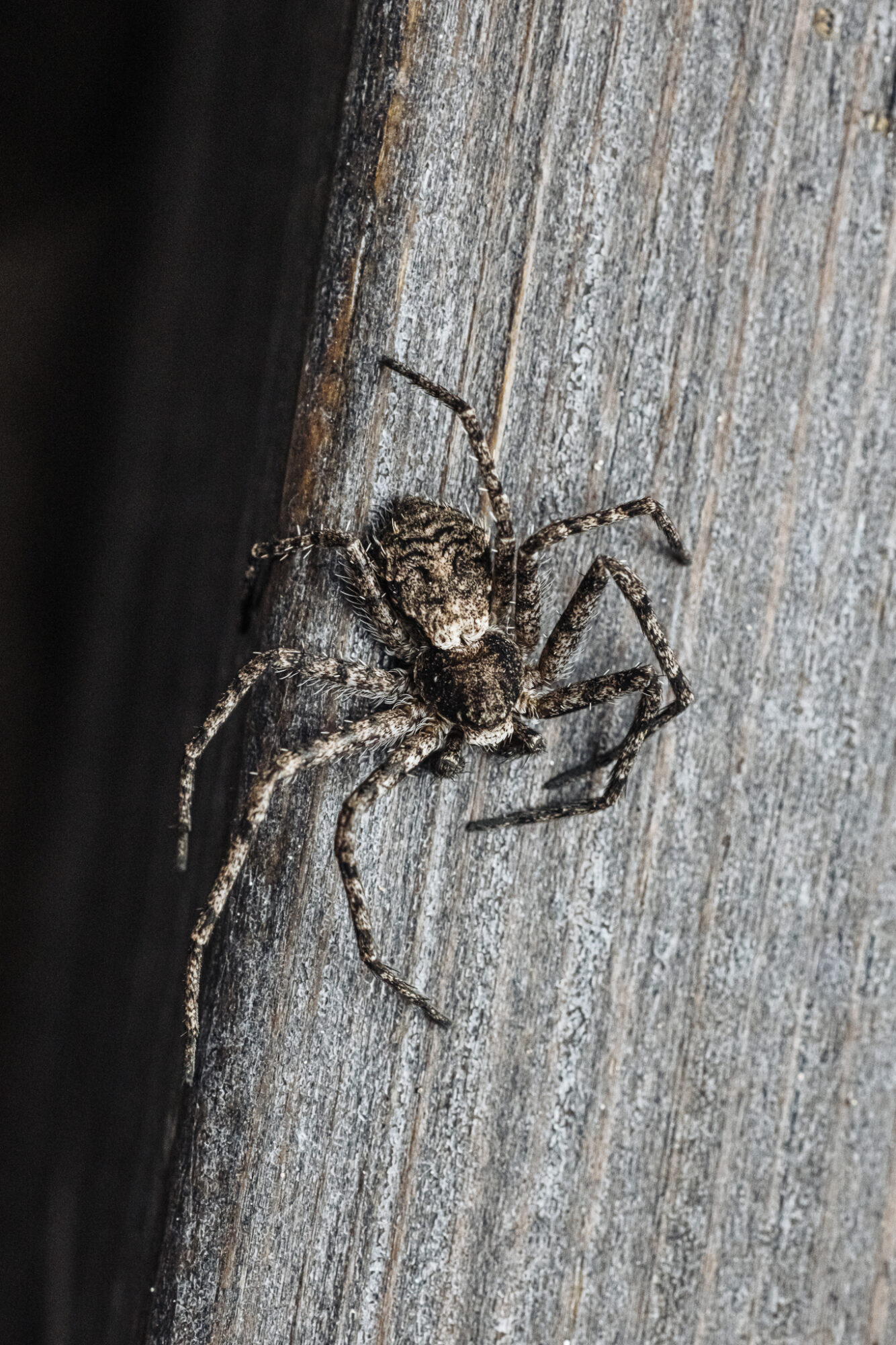 Valokuvaaja: Satu Mali