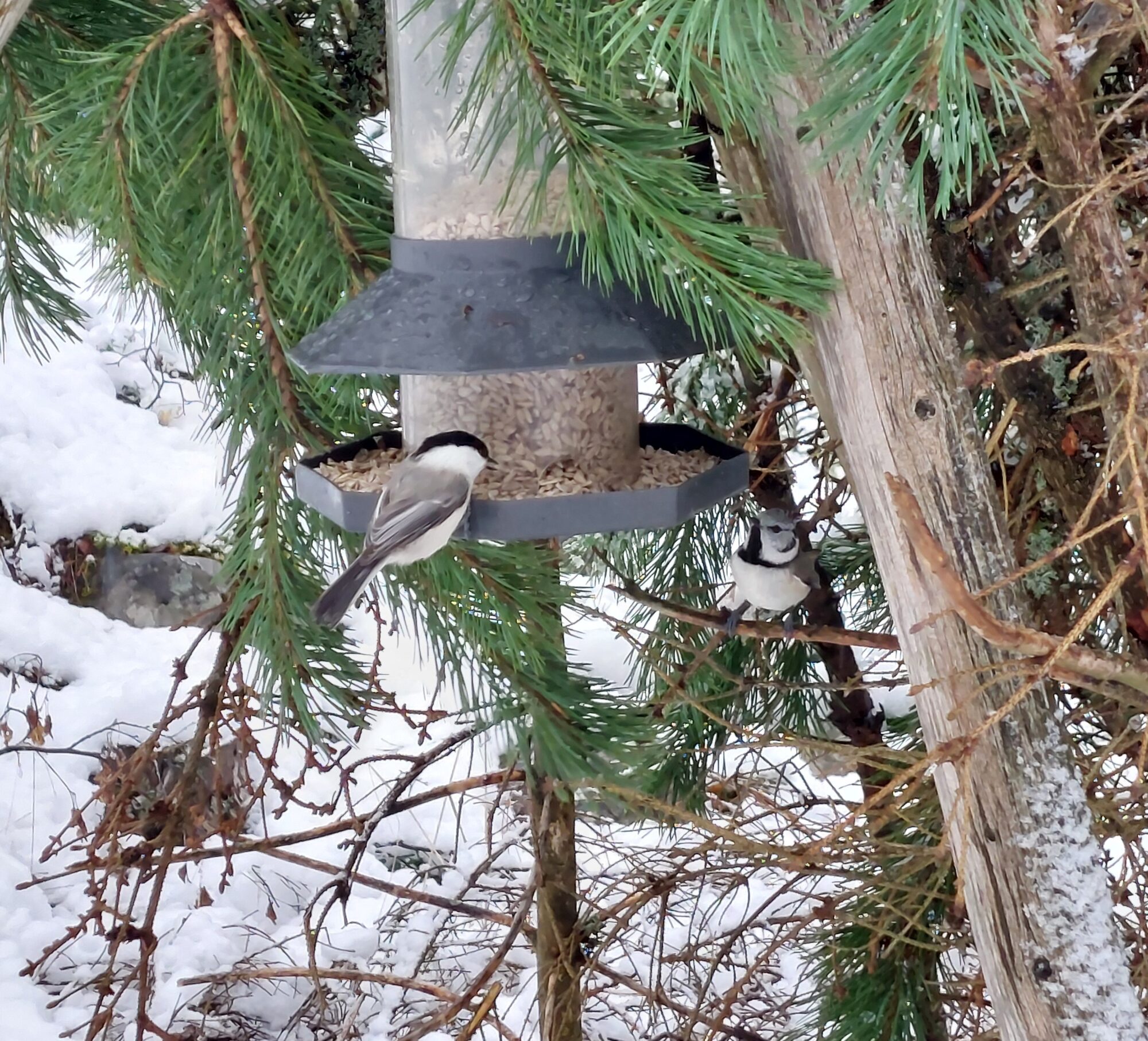 Valokuvaaja: Päivi Roihu