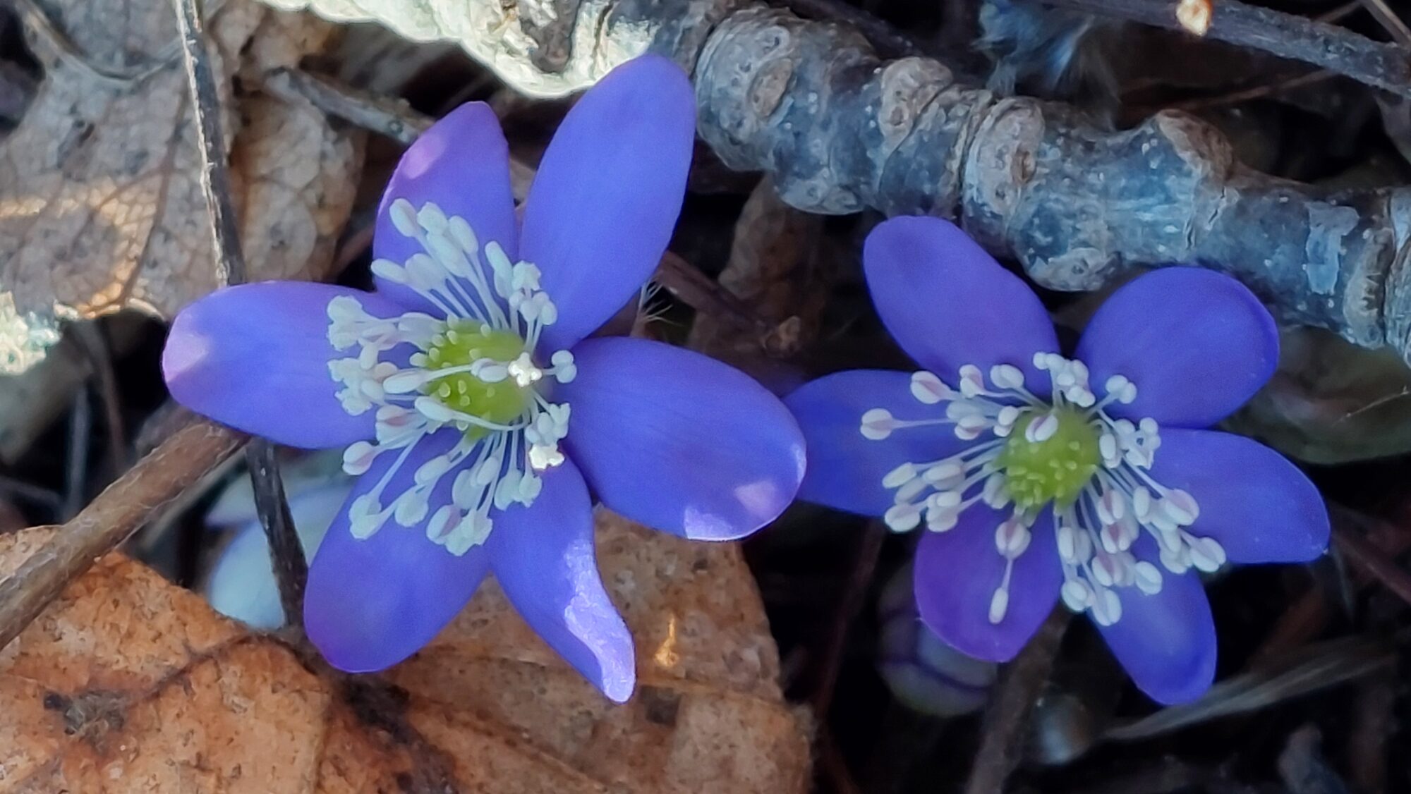 Valokuvaaja: Tarja Naukkarinen