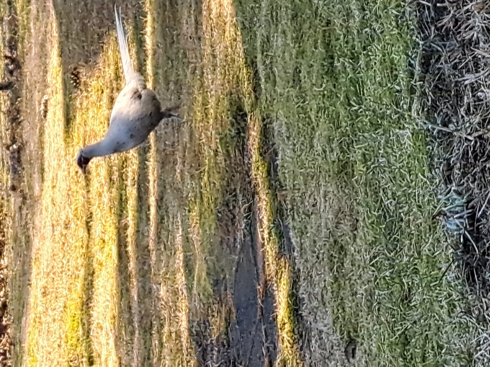 Valokuvaaja: Leila Timperi