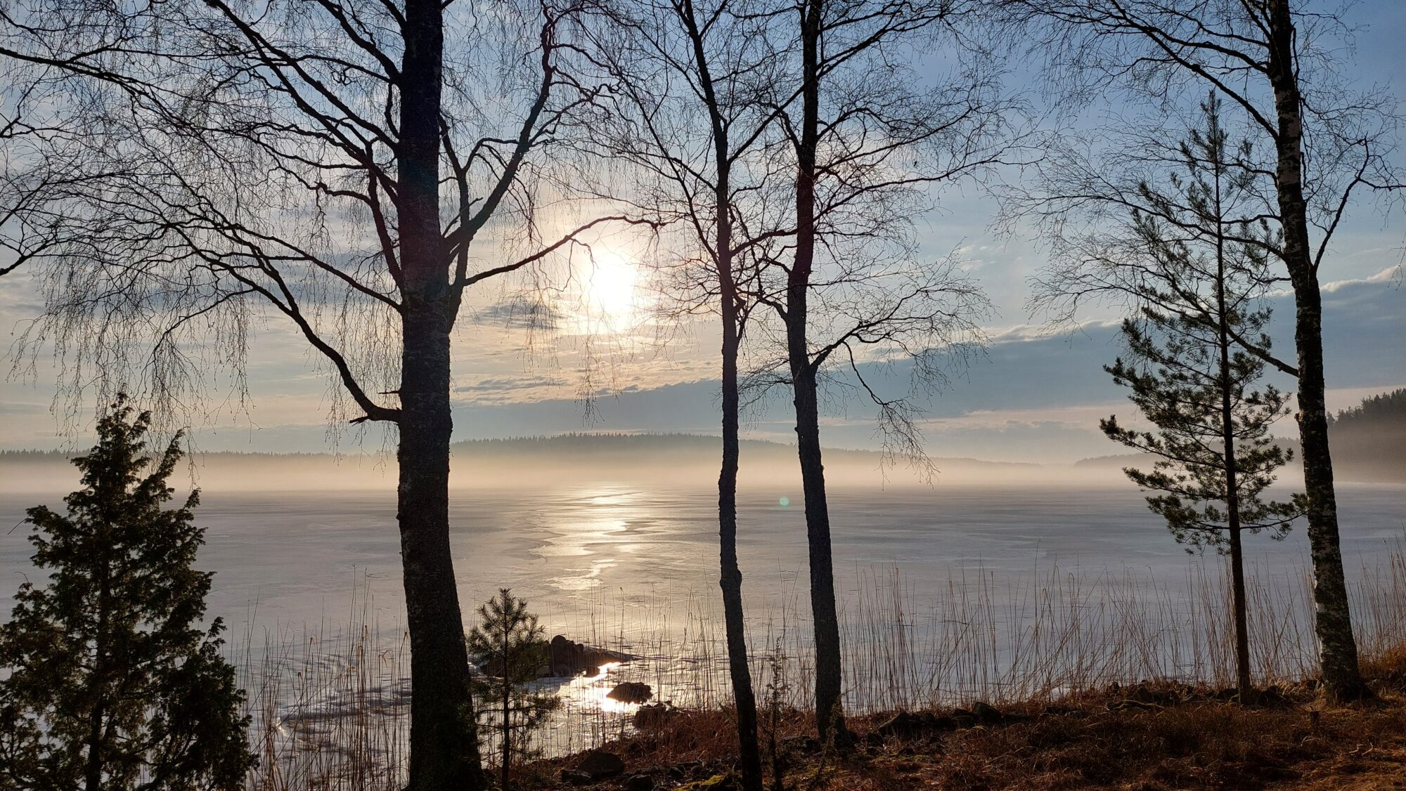 Valokuvaaja: Tarja Naukkarinen