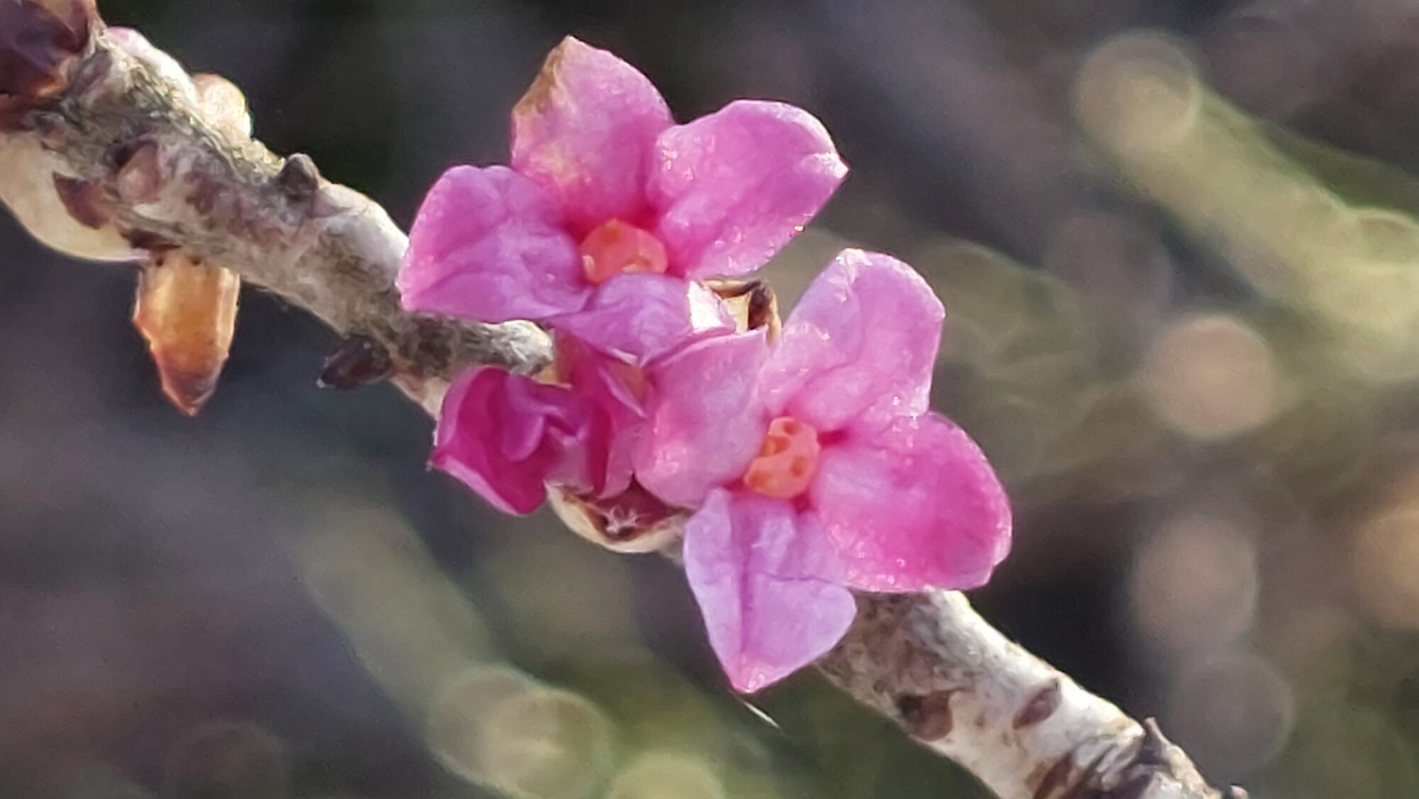 Valokuvaaja: Tarja Naukkarinen