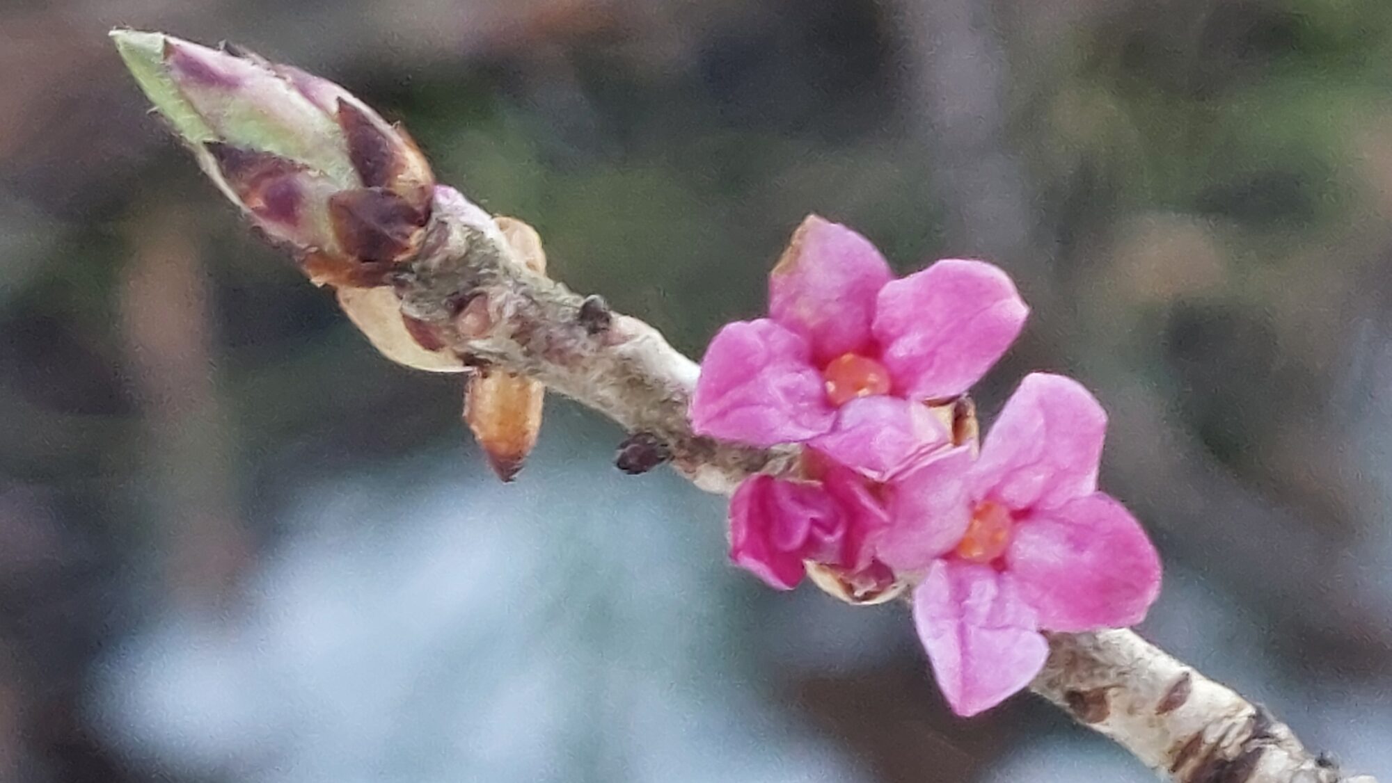 Valokuvaaja: Tarja Naukkarinen