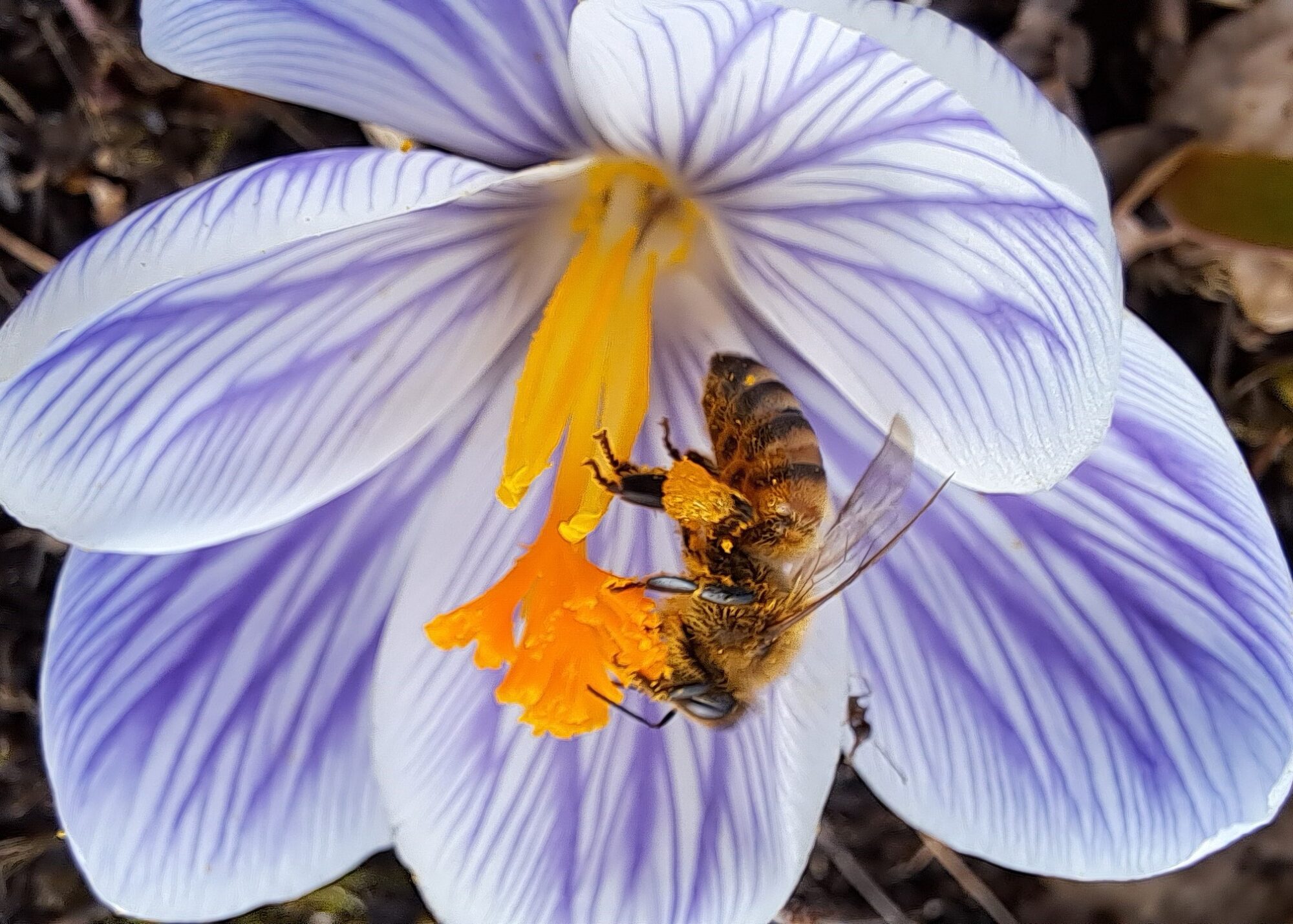 Valokuvaaja: Irja Lehtinen