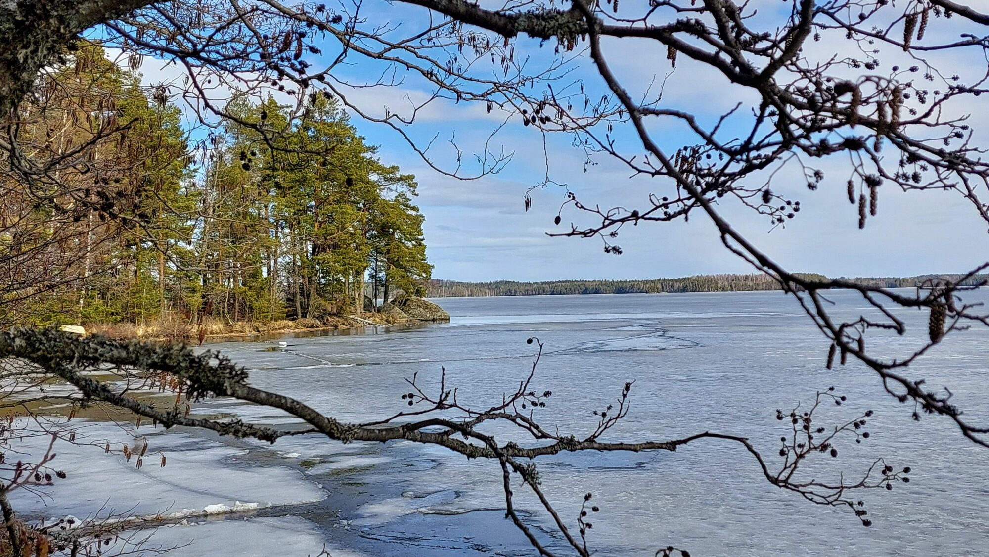 Valokuvaaja: Tarja Naukkarinen