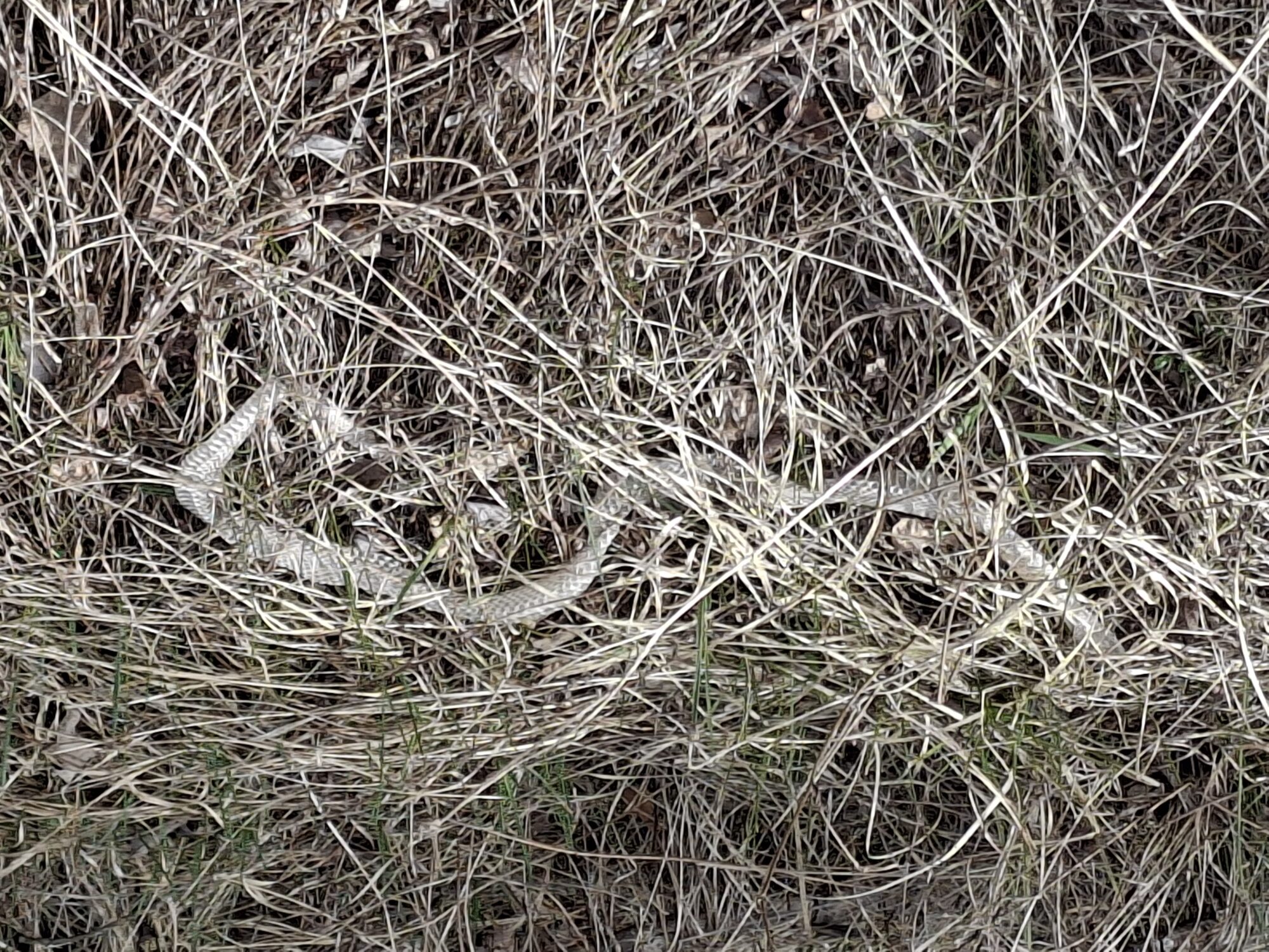 Valokuvaaja: Satu Suuntala