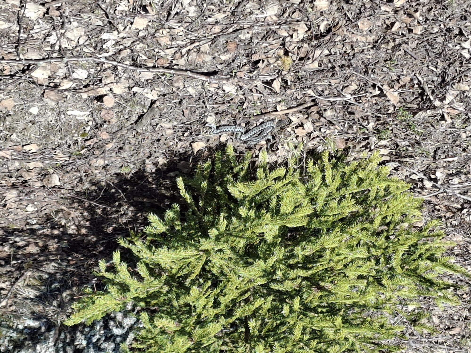 Valokuvaaja: Satu Suuntala