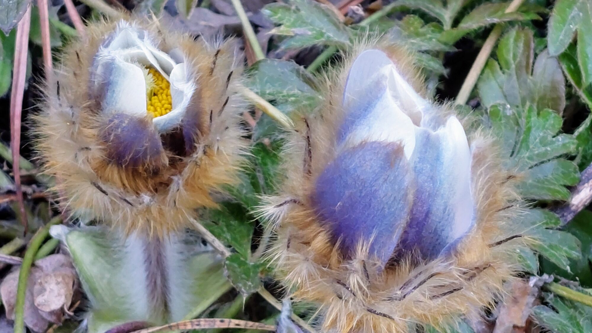 Valokuvaaja: Tarja Naukkarinen