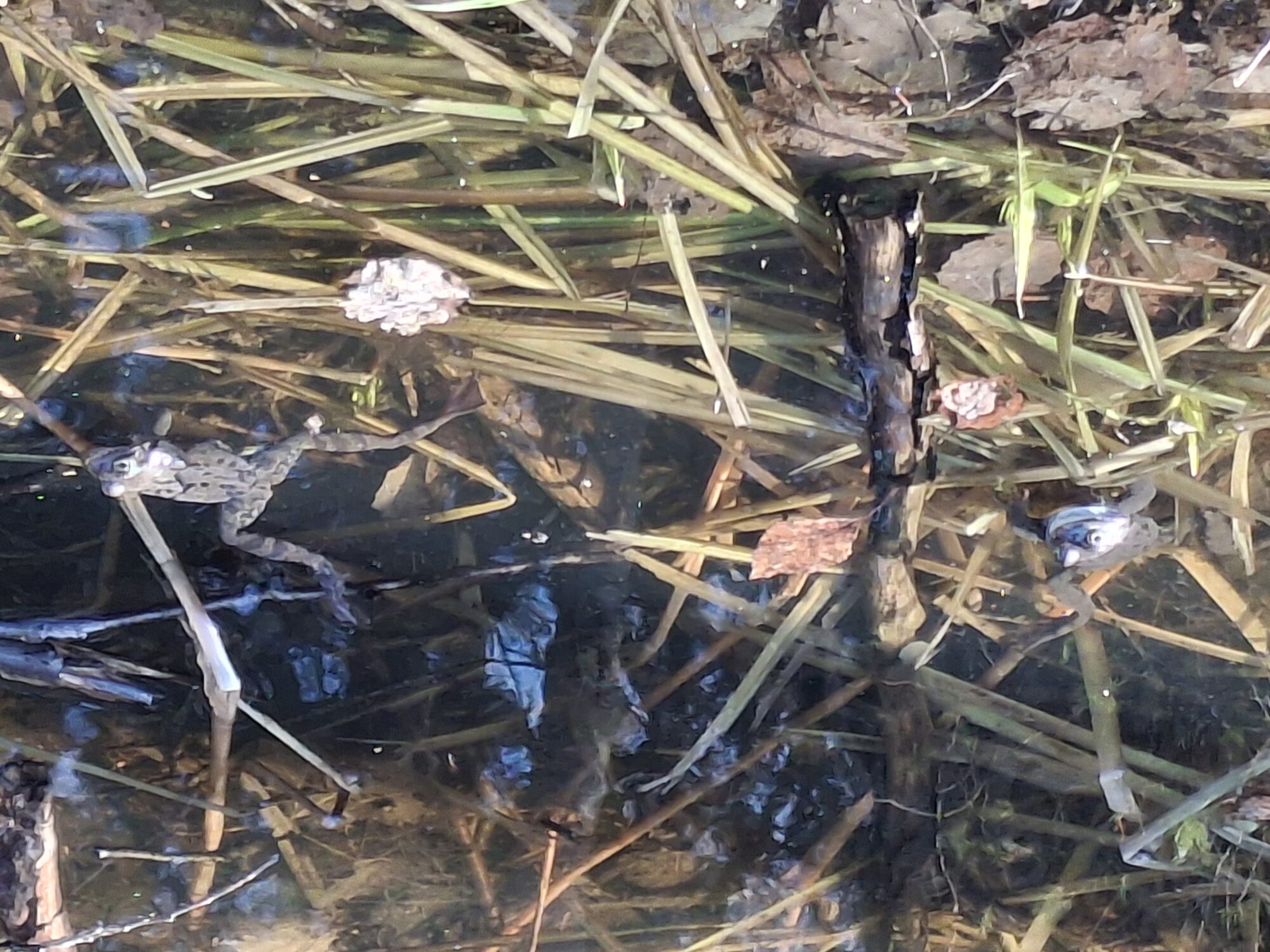 Valokuvaaja: Satu Suuntala