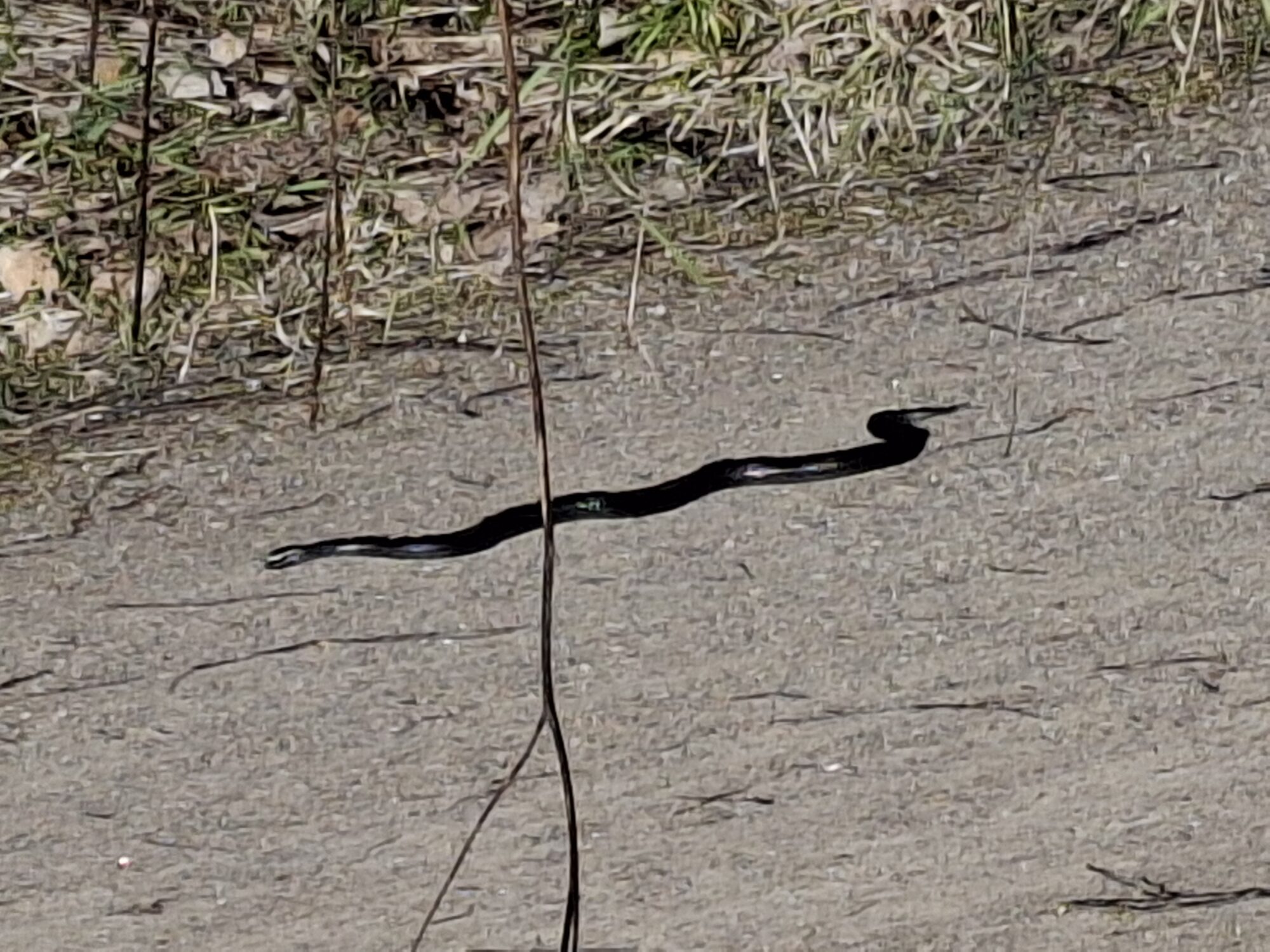 Valokuvaaja: Satu Suuntala