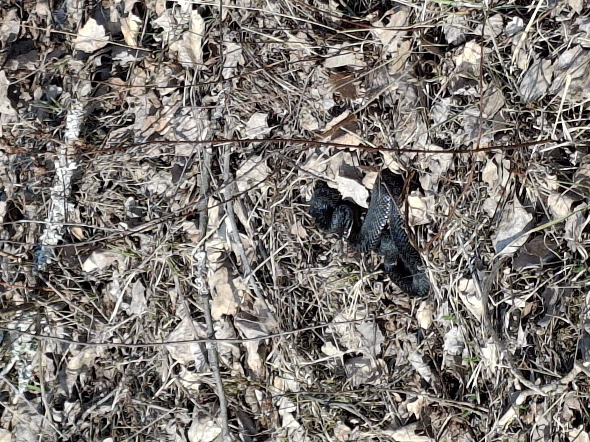 Valokuvaaja: Satu Suuntala