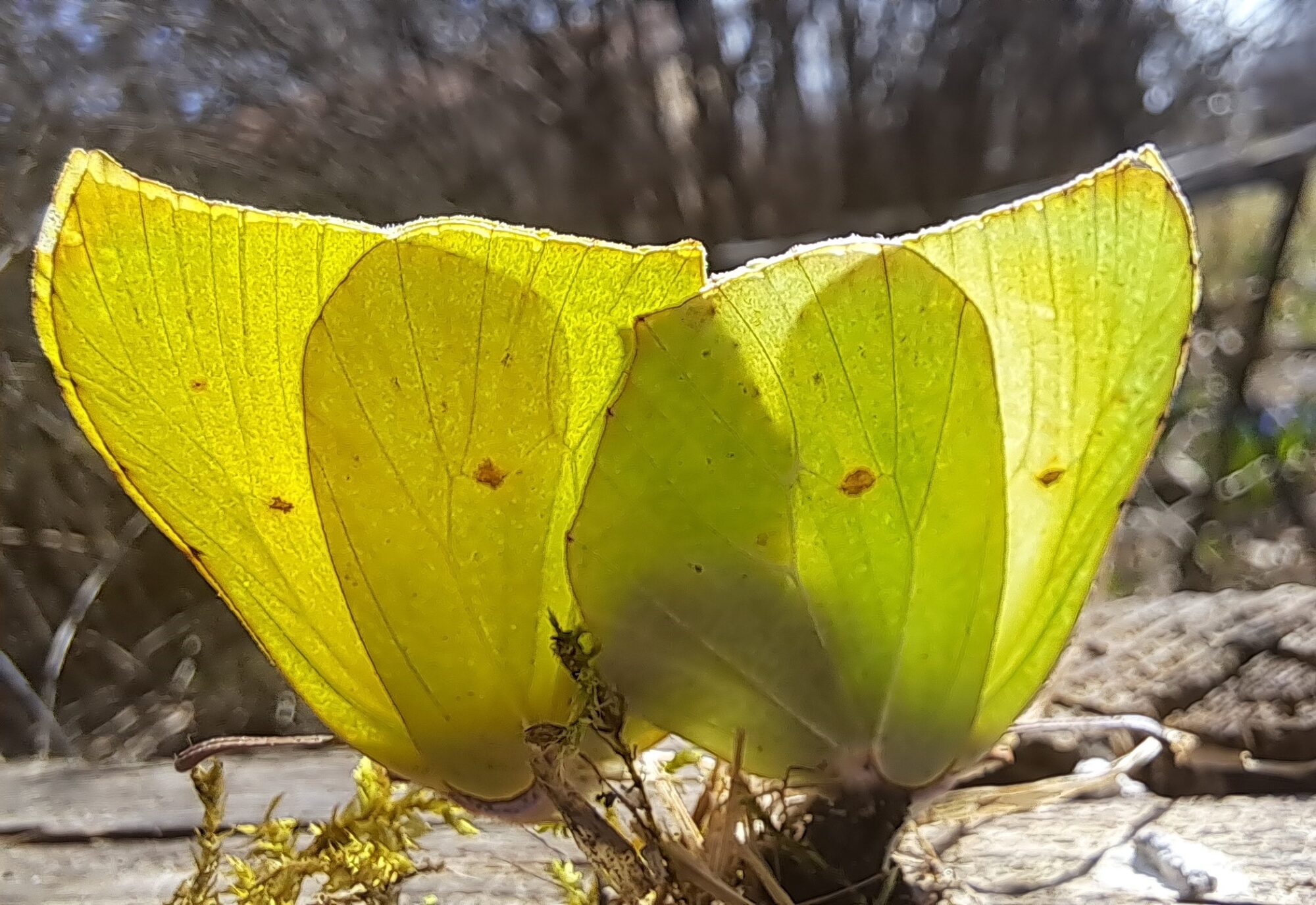 Valokuvaaja: Irja Lehtinen