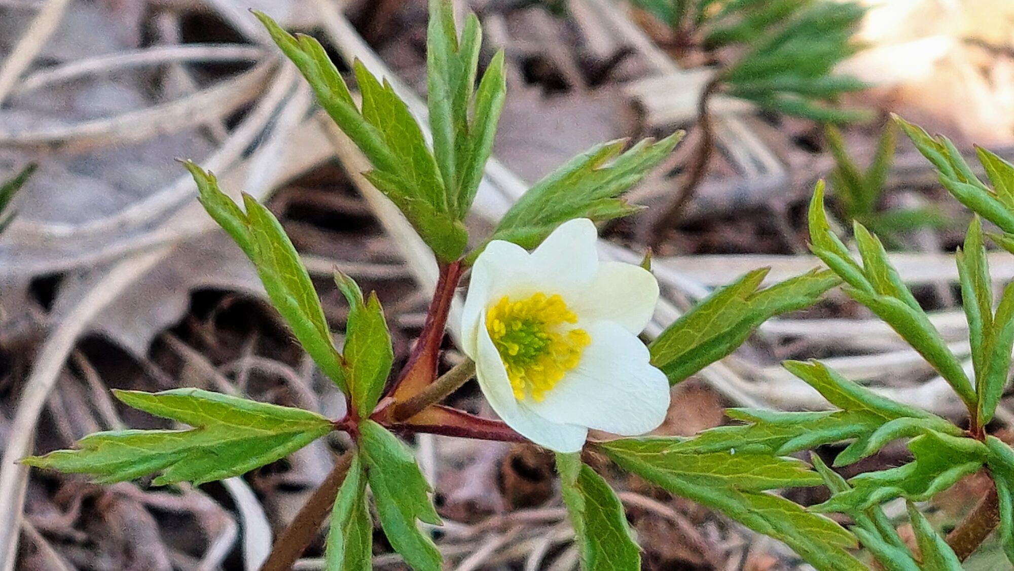 Valokuvaaja: Tarja Naukkarinen