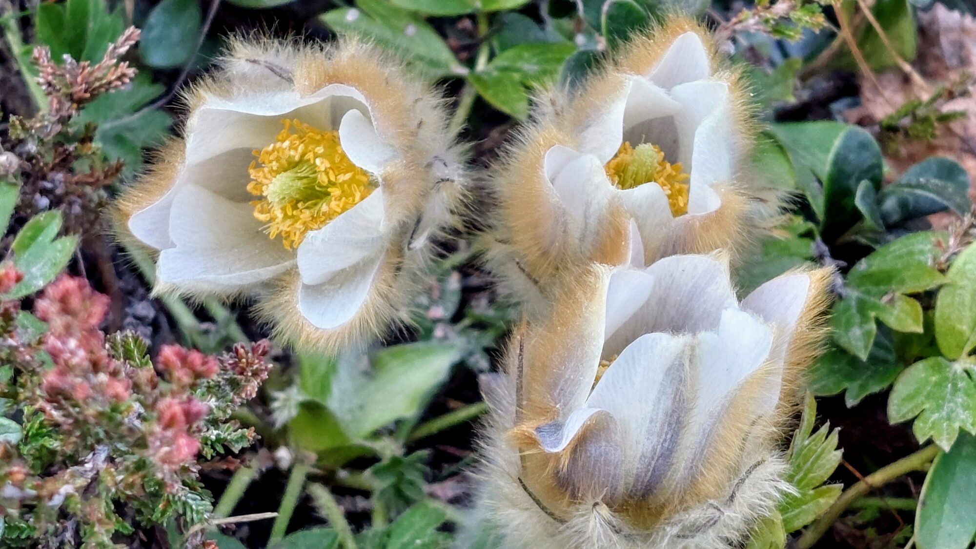 Valokuvaaja: Tarja Naukkarinen