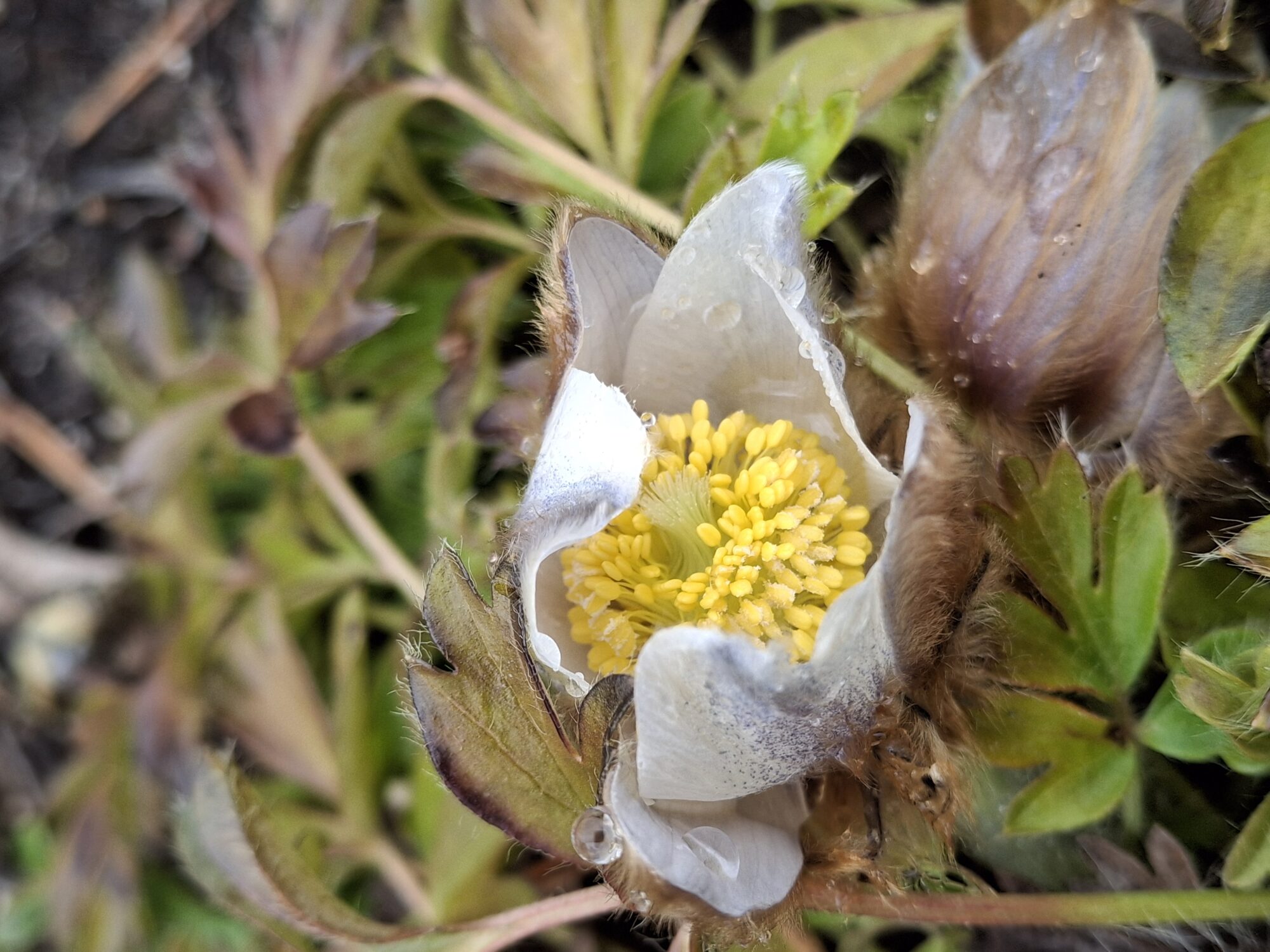 Valokuvaaja: Satu Suuntala