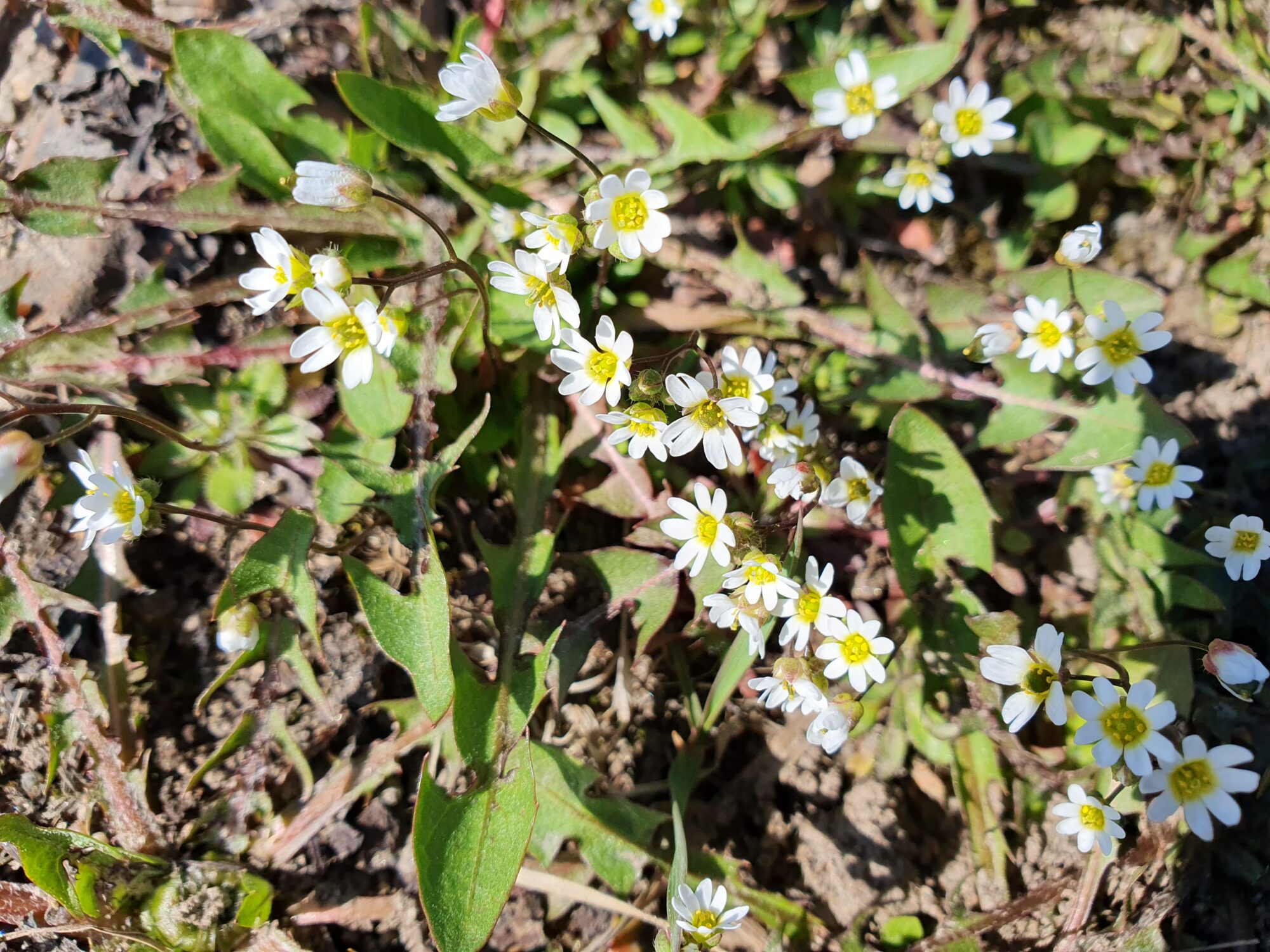 Valokuvaaja: Pirkko Tuulihovi