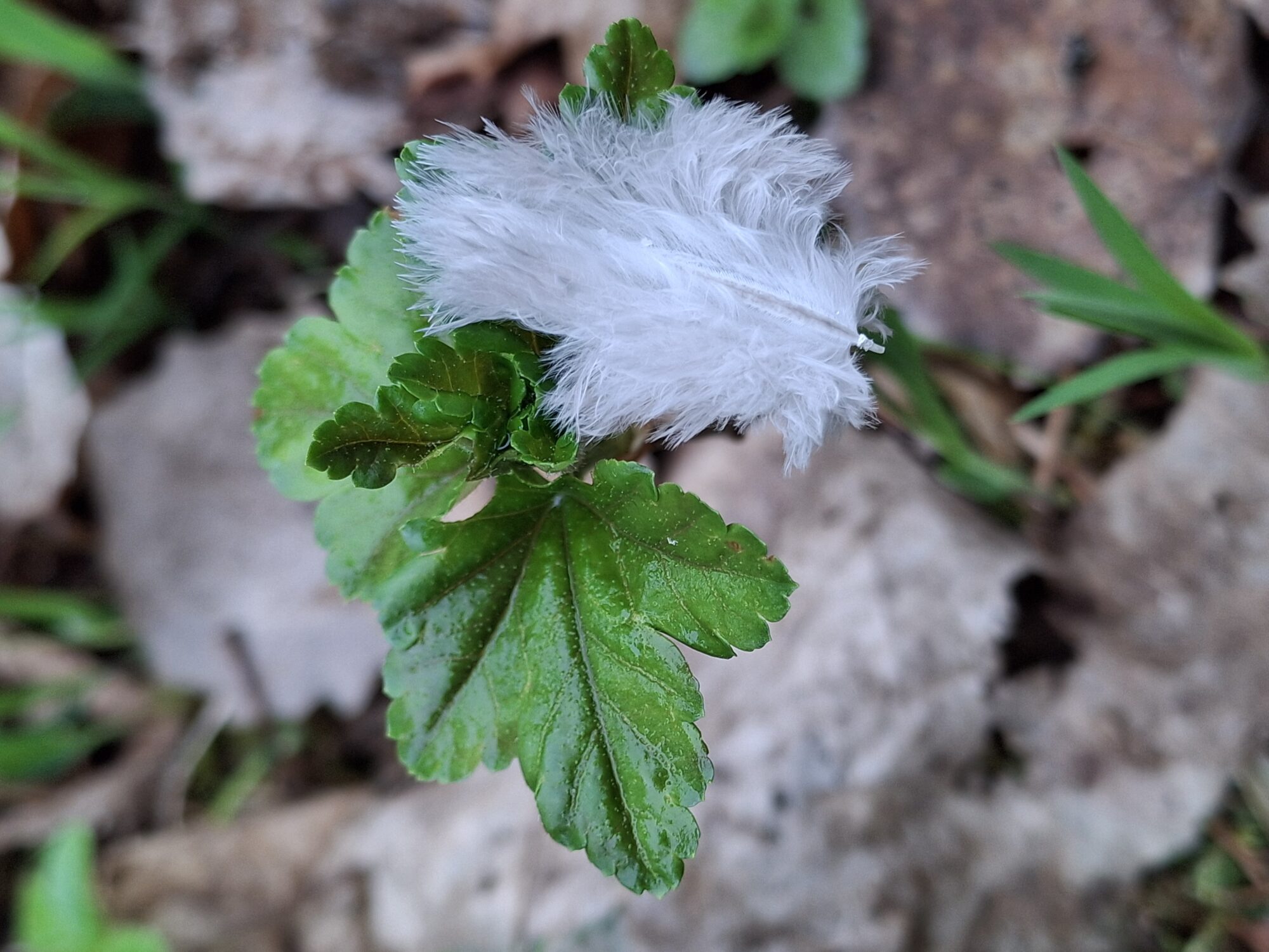 Valokuvaaja: Satu Suuntala