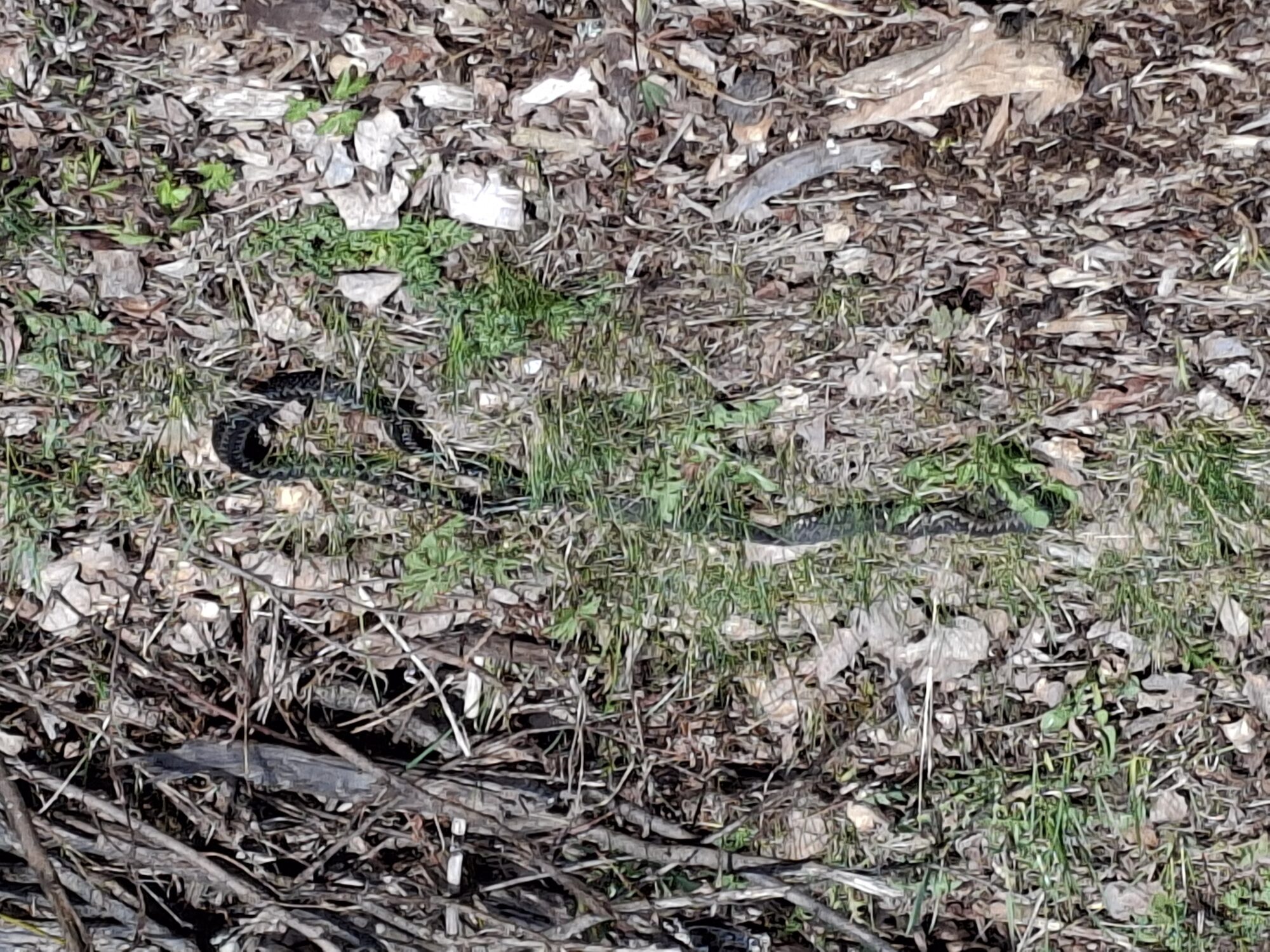 Valokuvaaja: Satu Suuntala