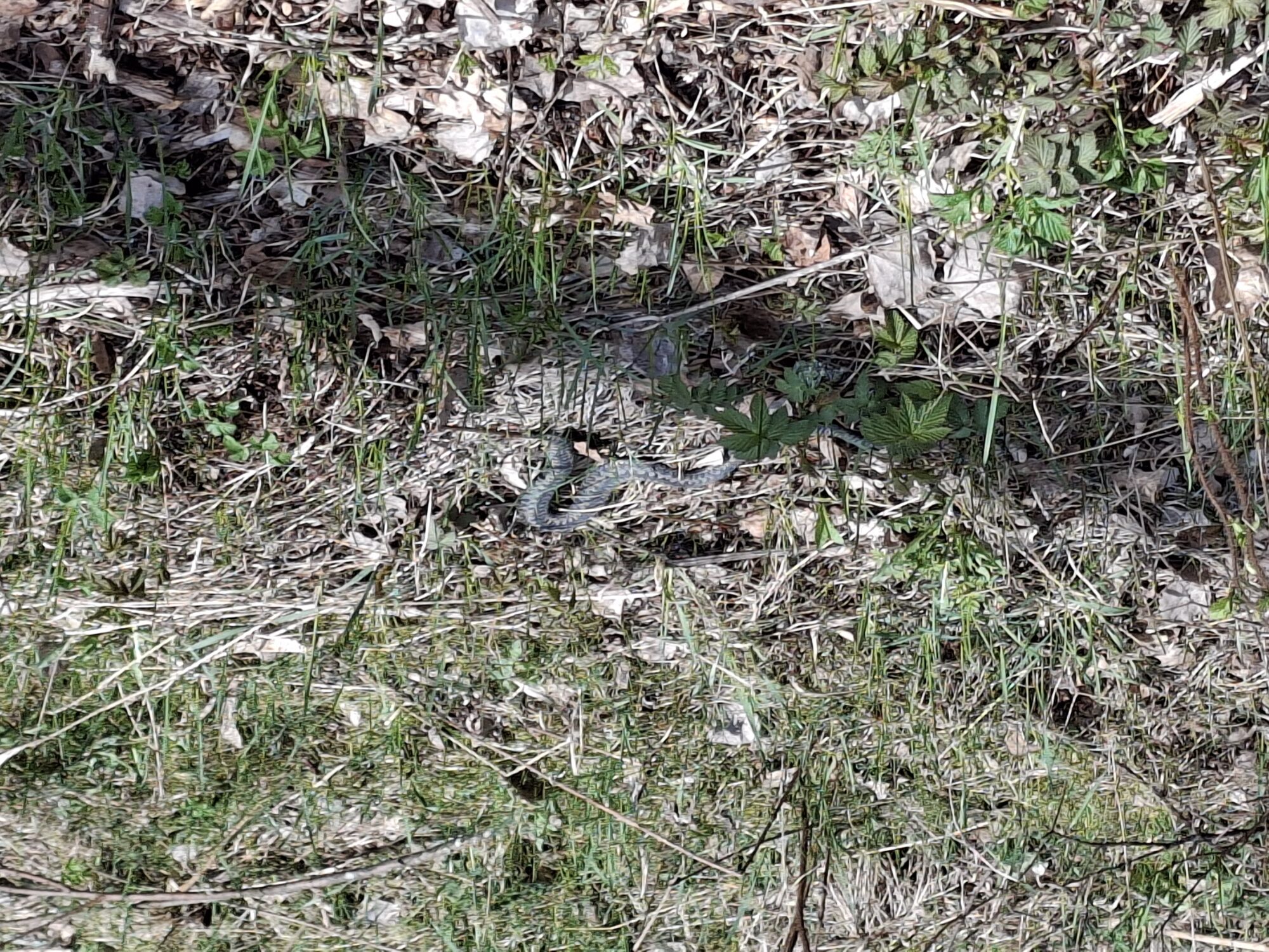 Valokuvaaja: Satu Suuntala