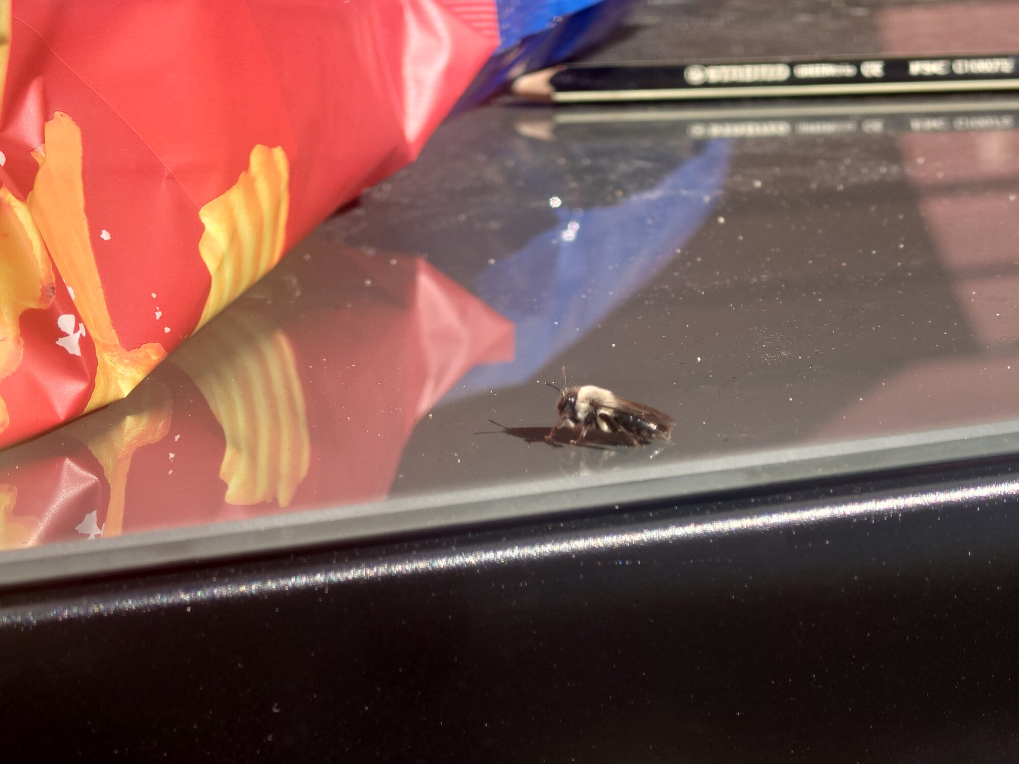 Valokuvaaja: Joni paasiranta