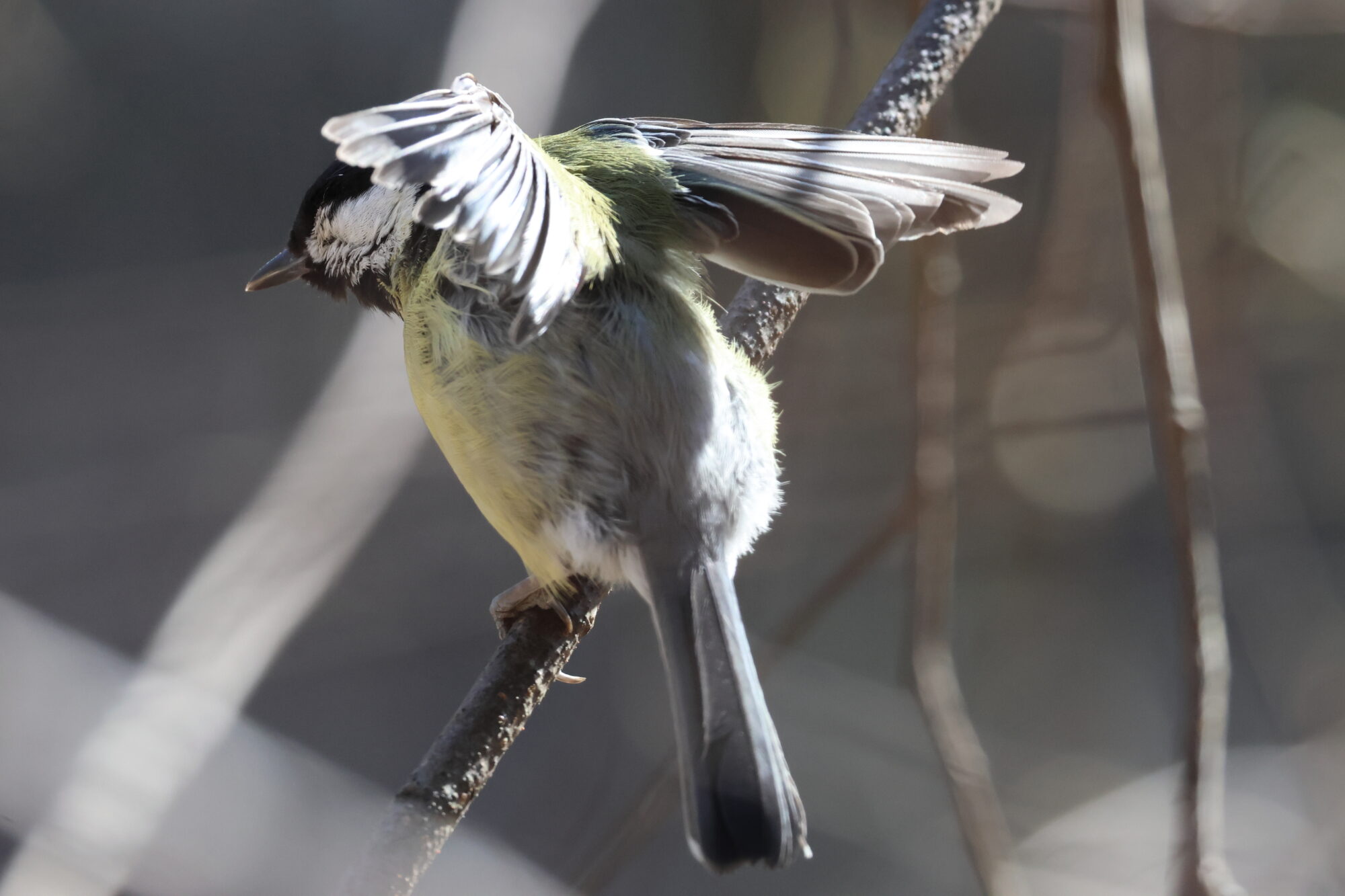 Valokuvaaja: Jukka Jokinen