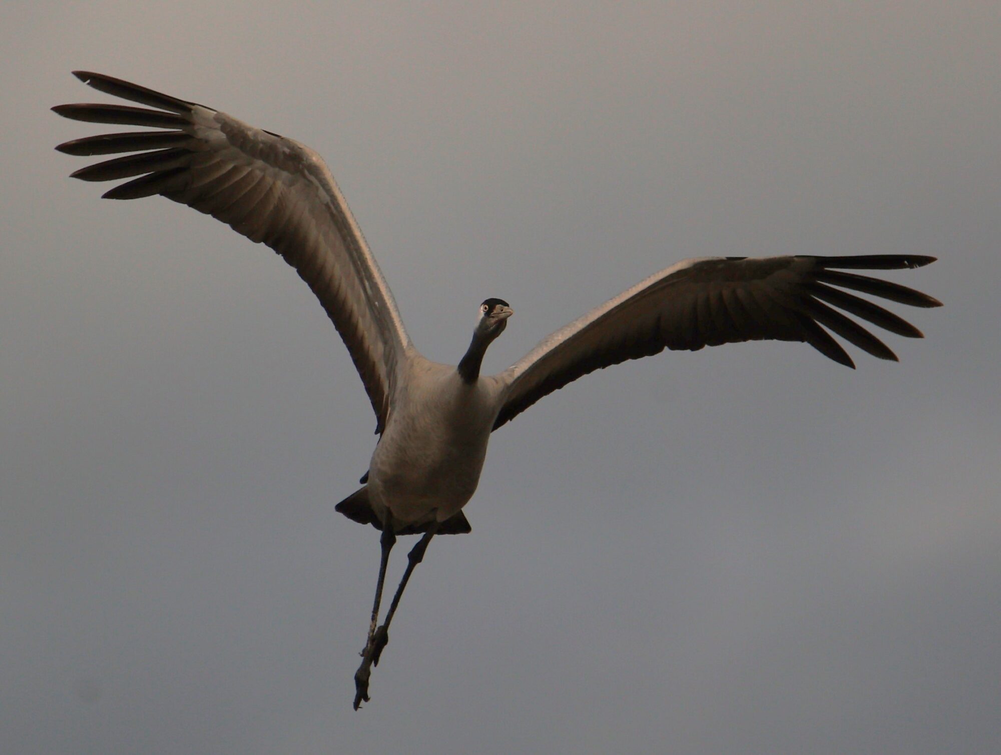 Valokuvaaja: Kaarina Heiskanen