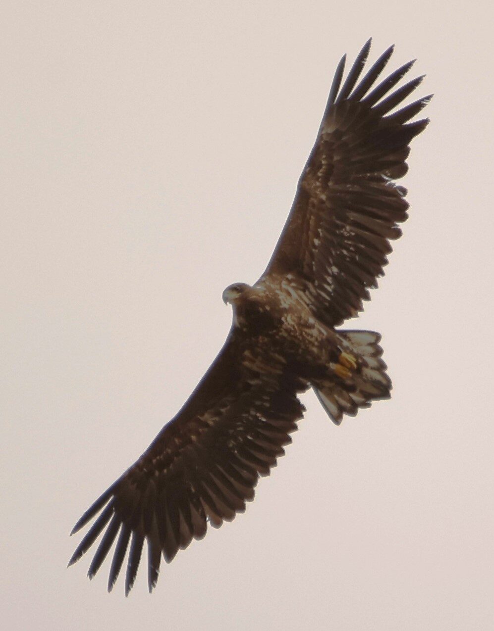 Valokuvaaja: Kaarina Heiskanen