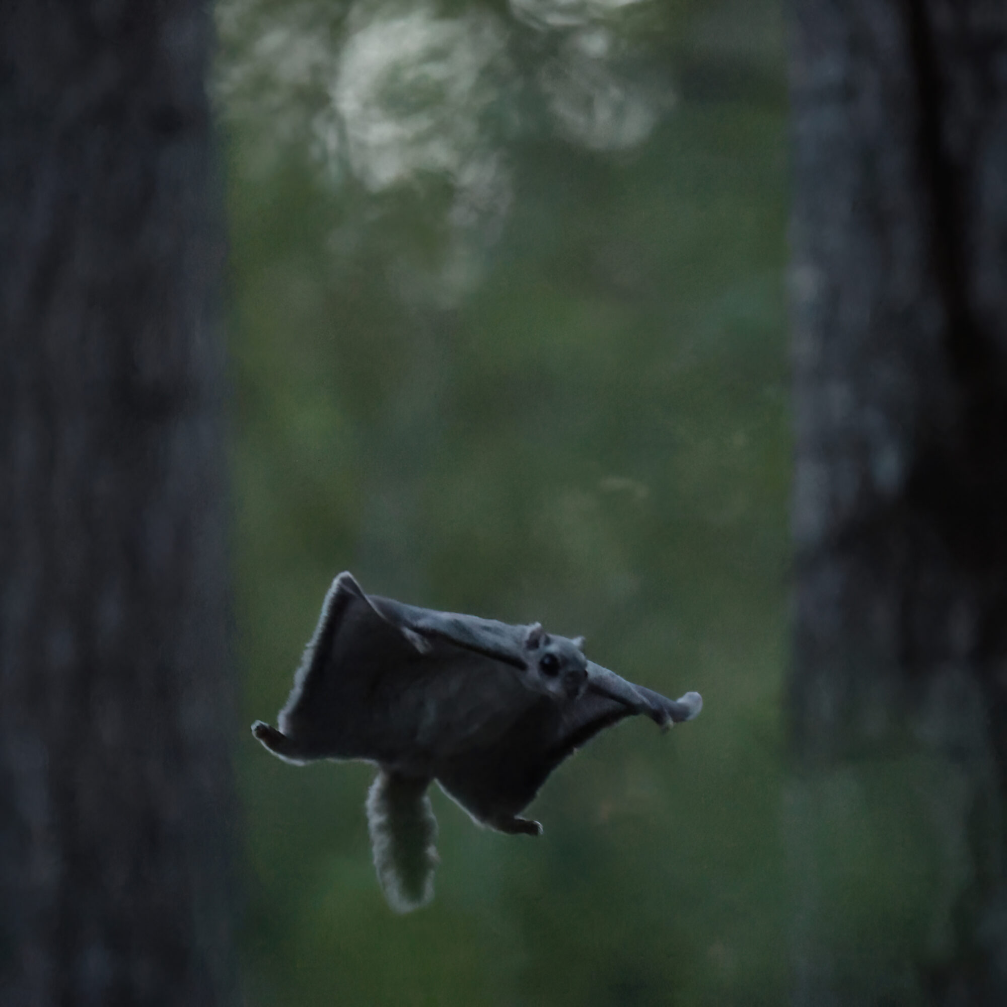 Valokuvaaja: Janne Salomeri