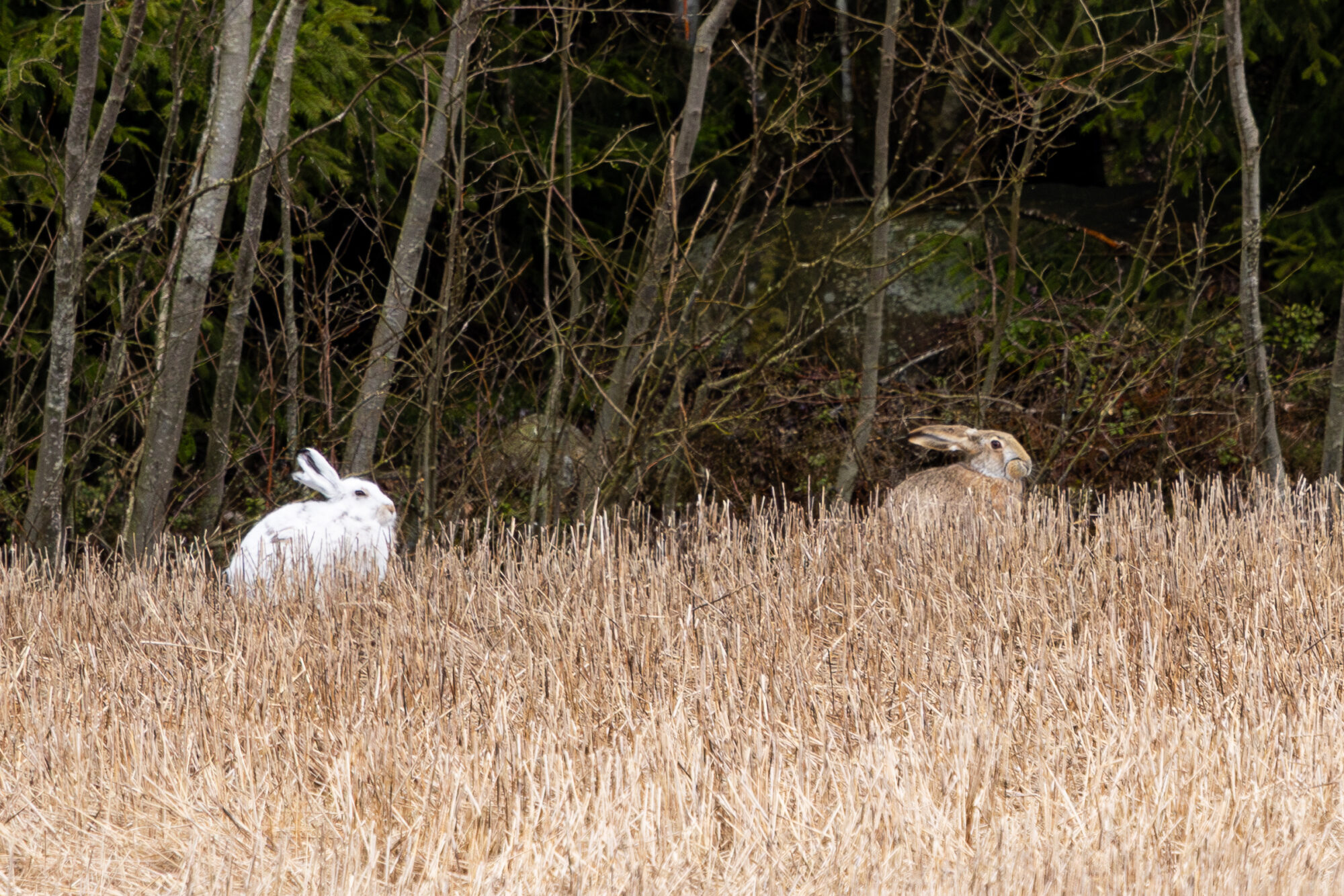 Valokuvaaja: Satu Pihlainen