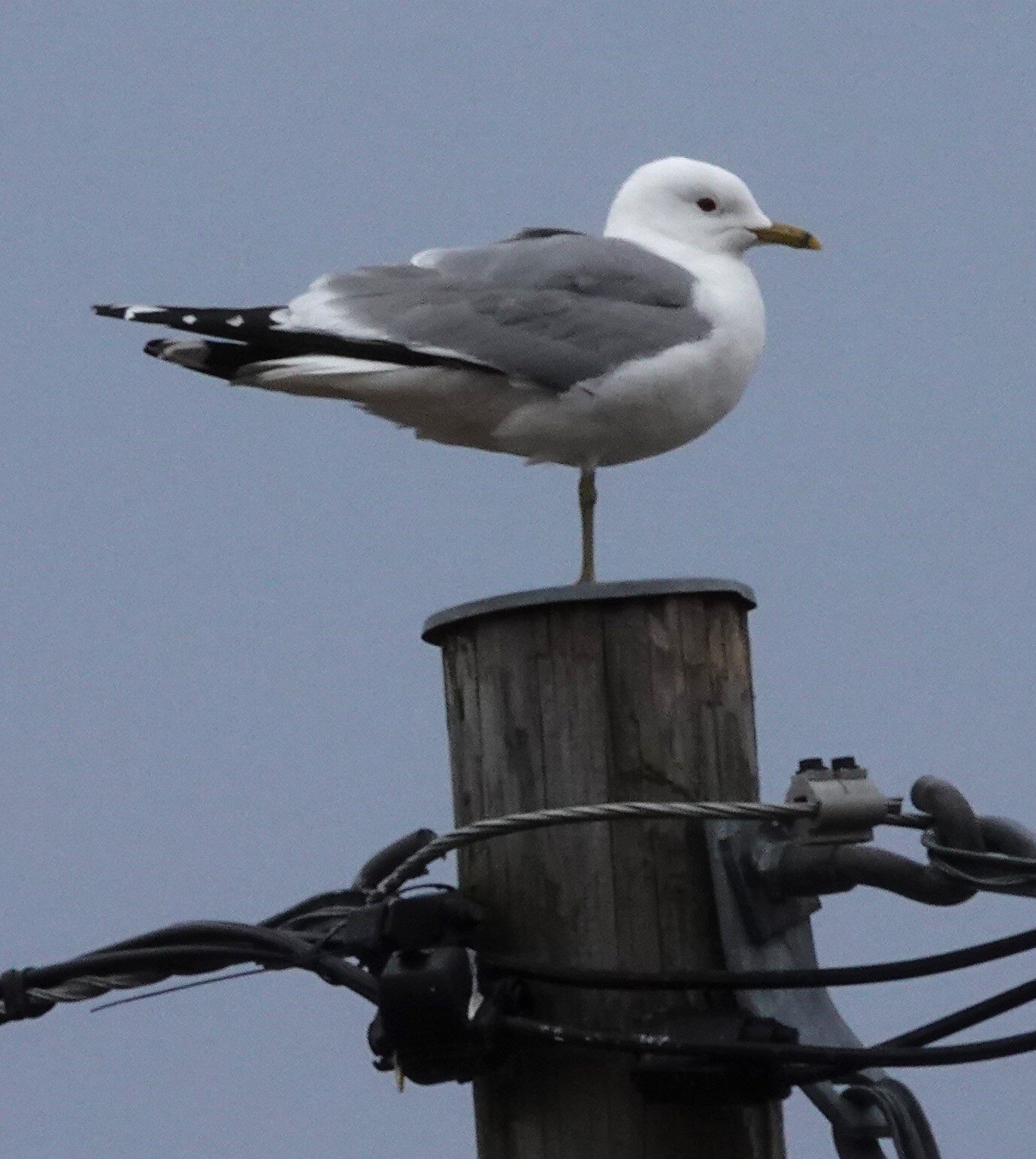 Valokuvaaja: Kaarina Heiskanen