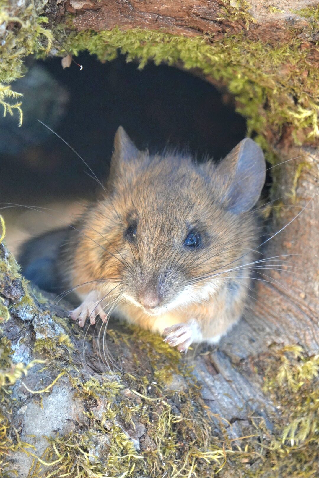 Valokuvaaja: Keijo Pekkanen