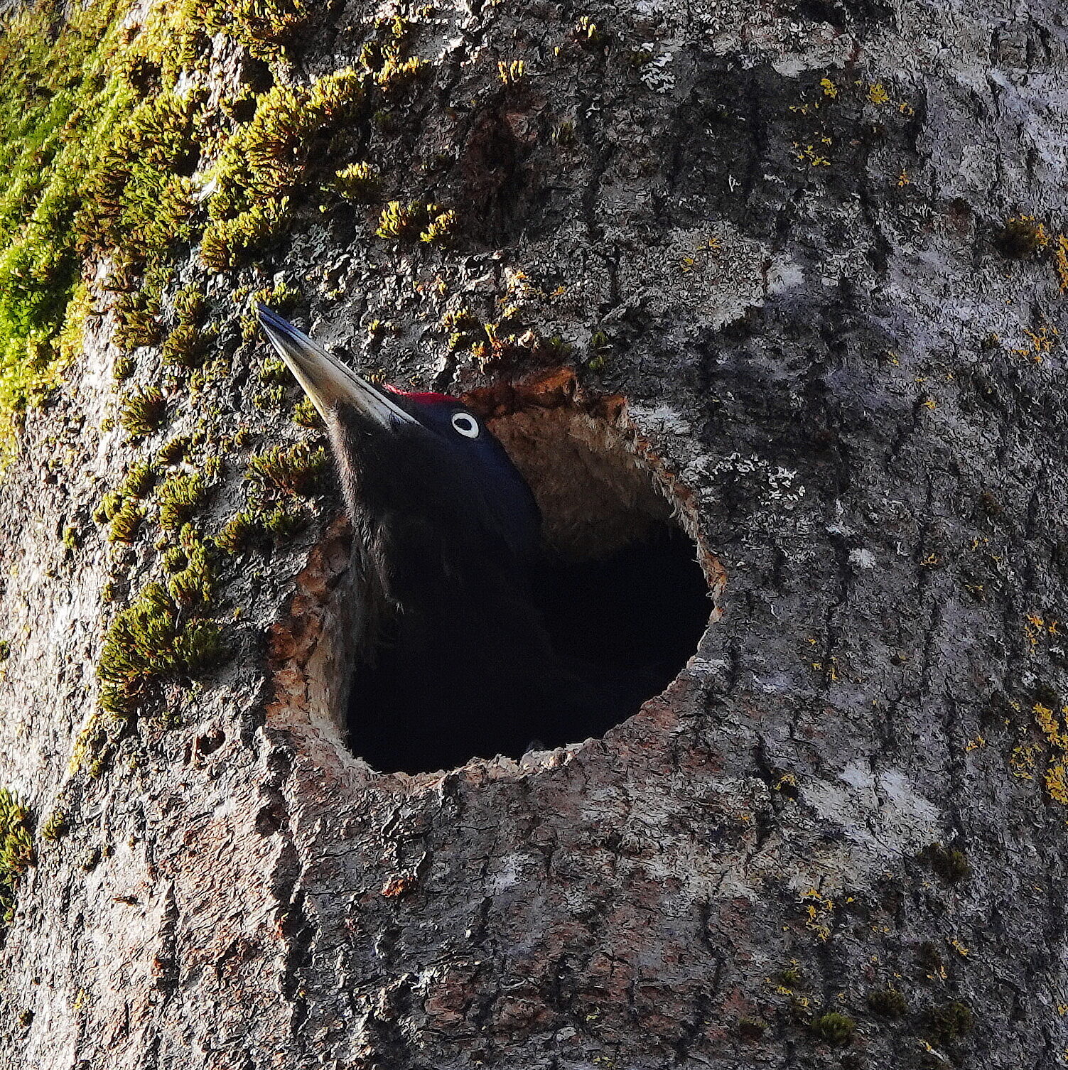 Valokuvaaja: Raija Oksanen