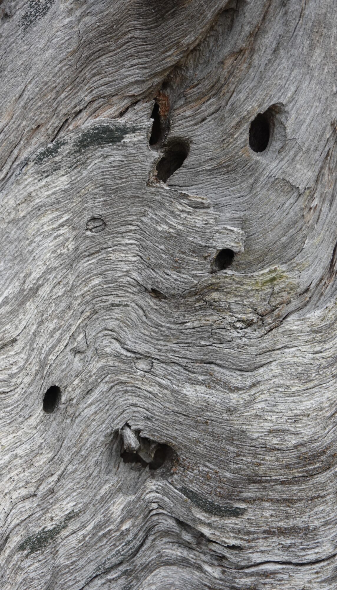 Valokuvaaja: Jenna Pitkänen