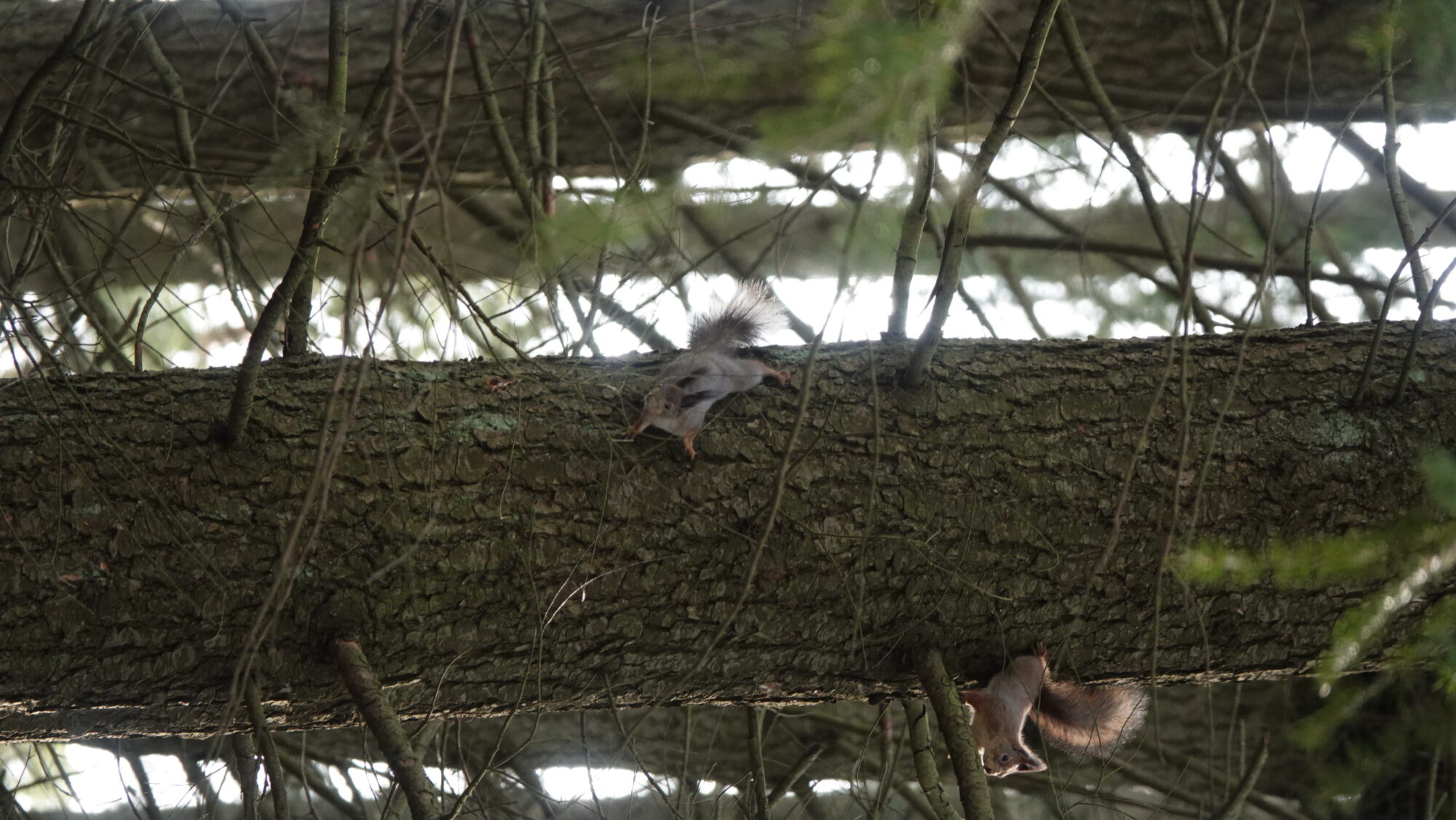 Valokuvaaja: Jenna Pitkänen