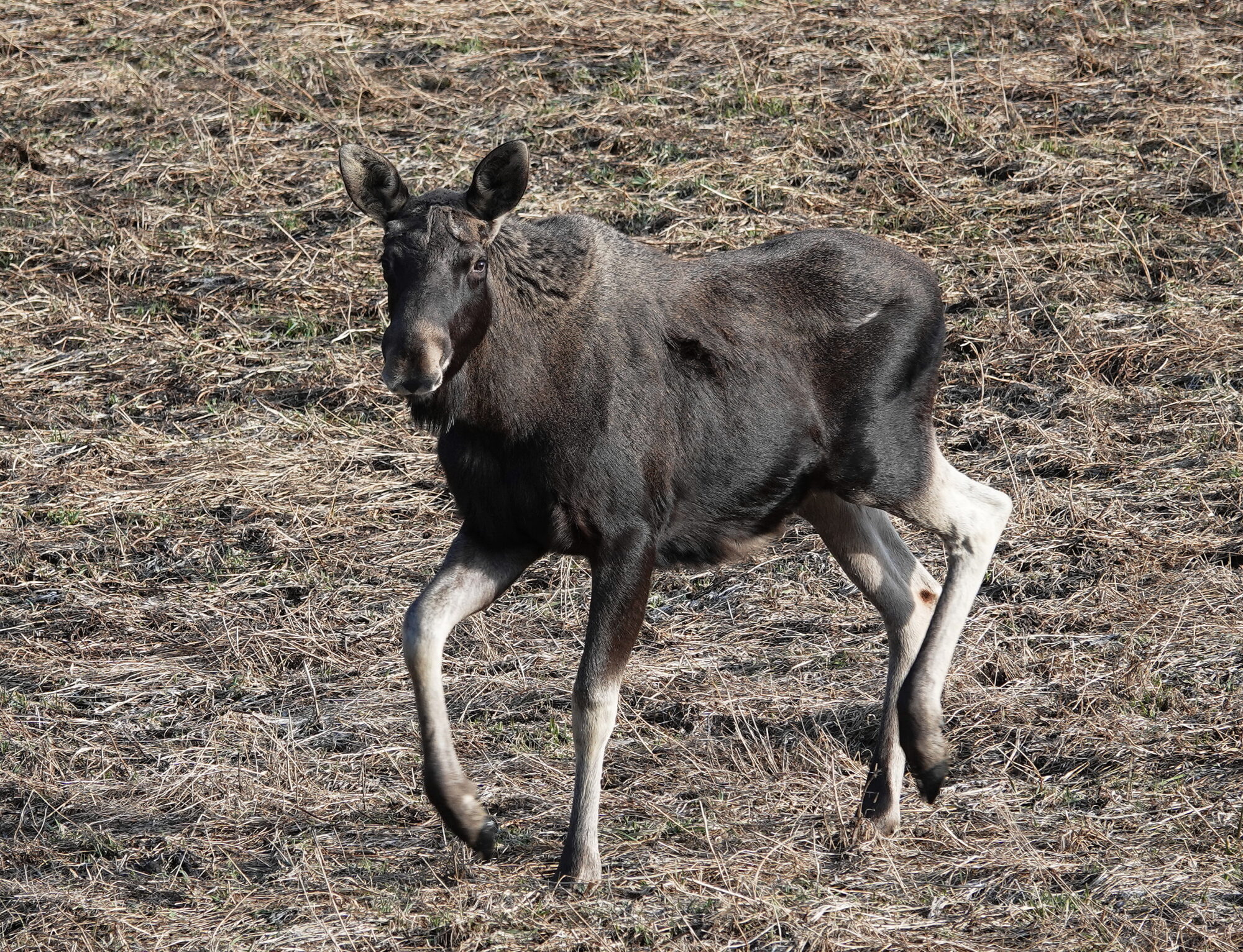 Valokuvaaja: Raija Oksanen