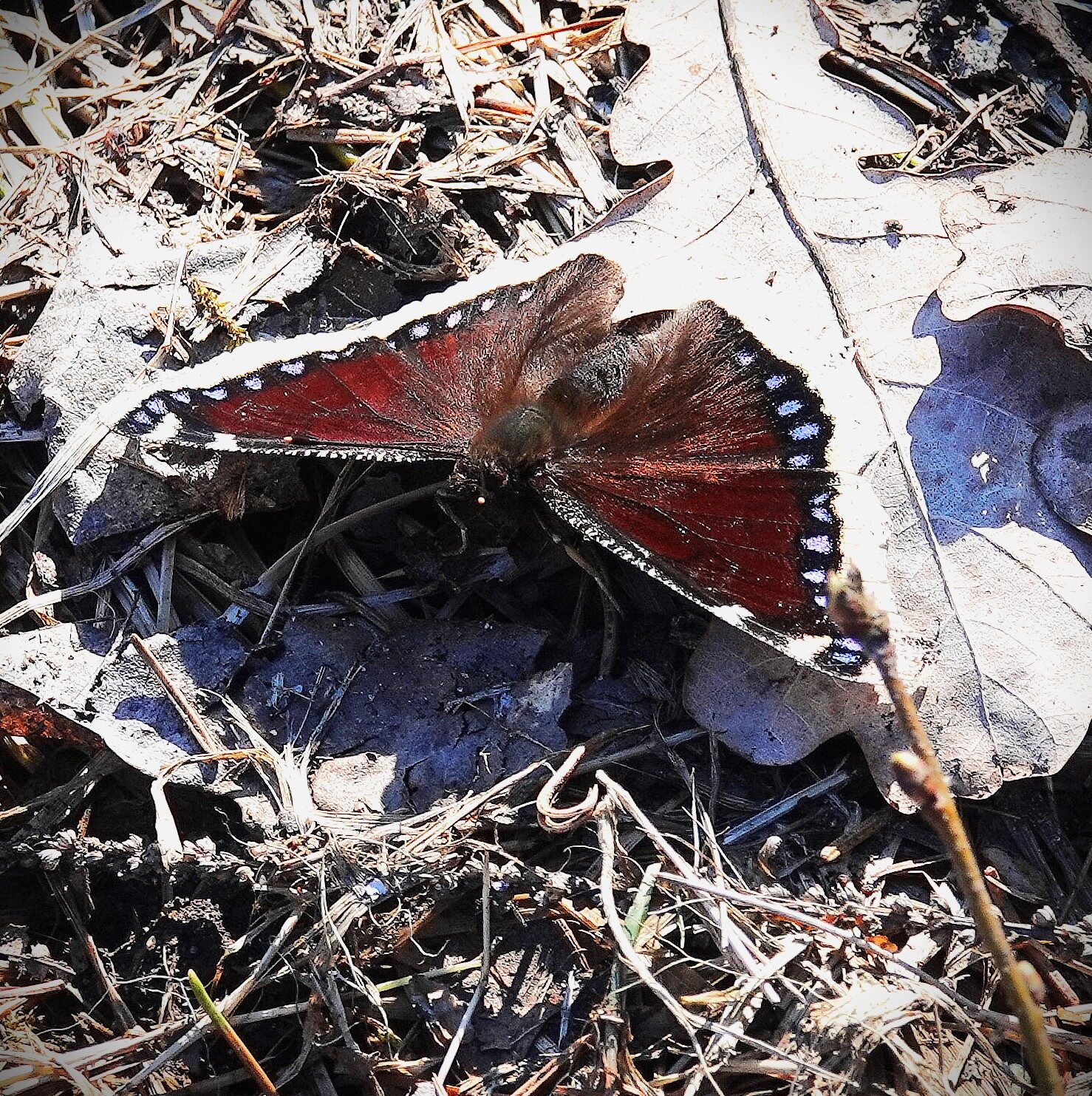 Valokuvaaja: Raija Oksanen