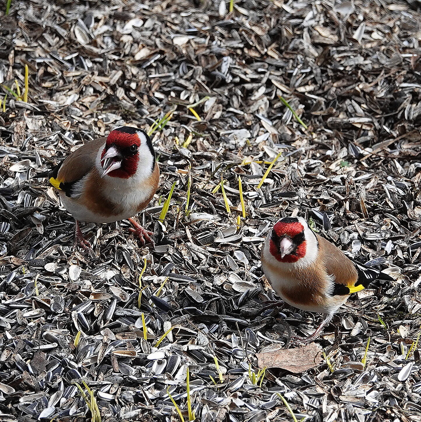 Valokuvaaja: Raija Oksanen