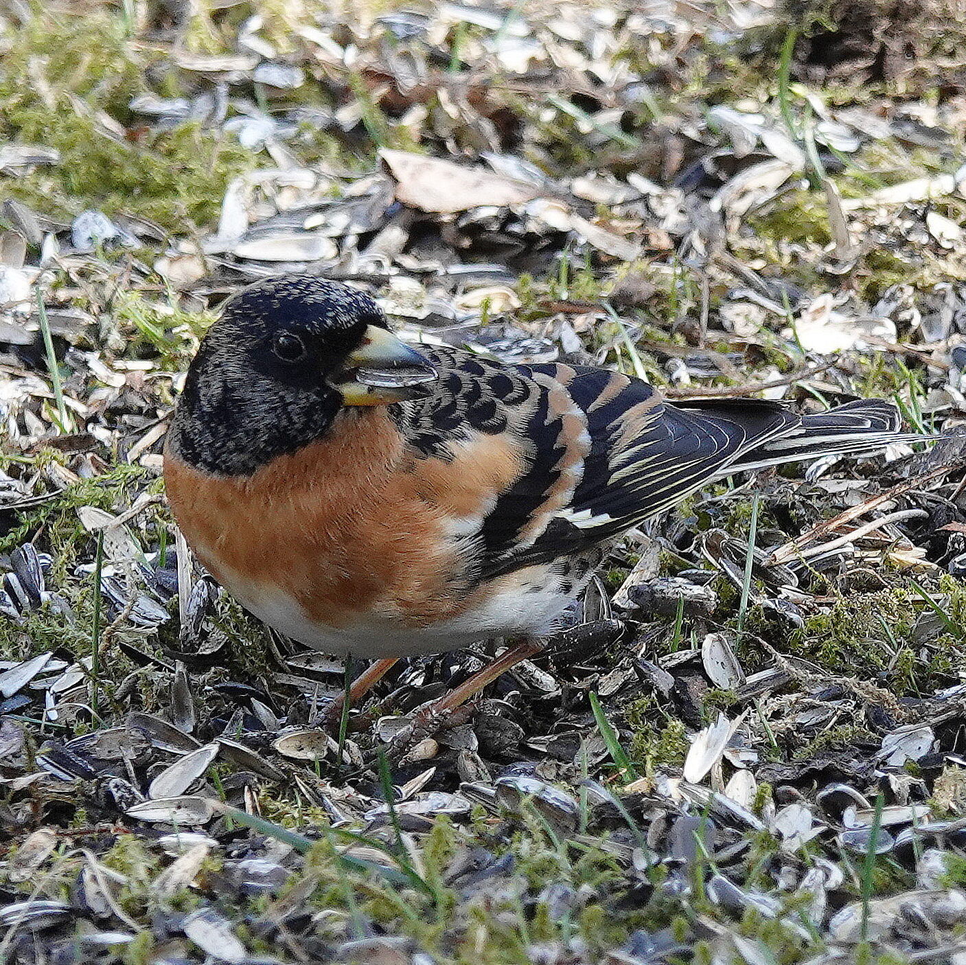 Valokuvaaja: Raija Oksanen