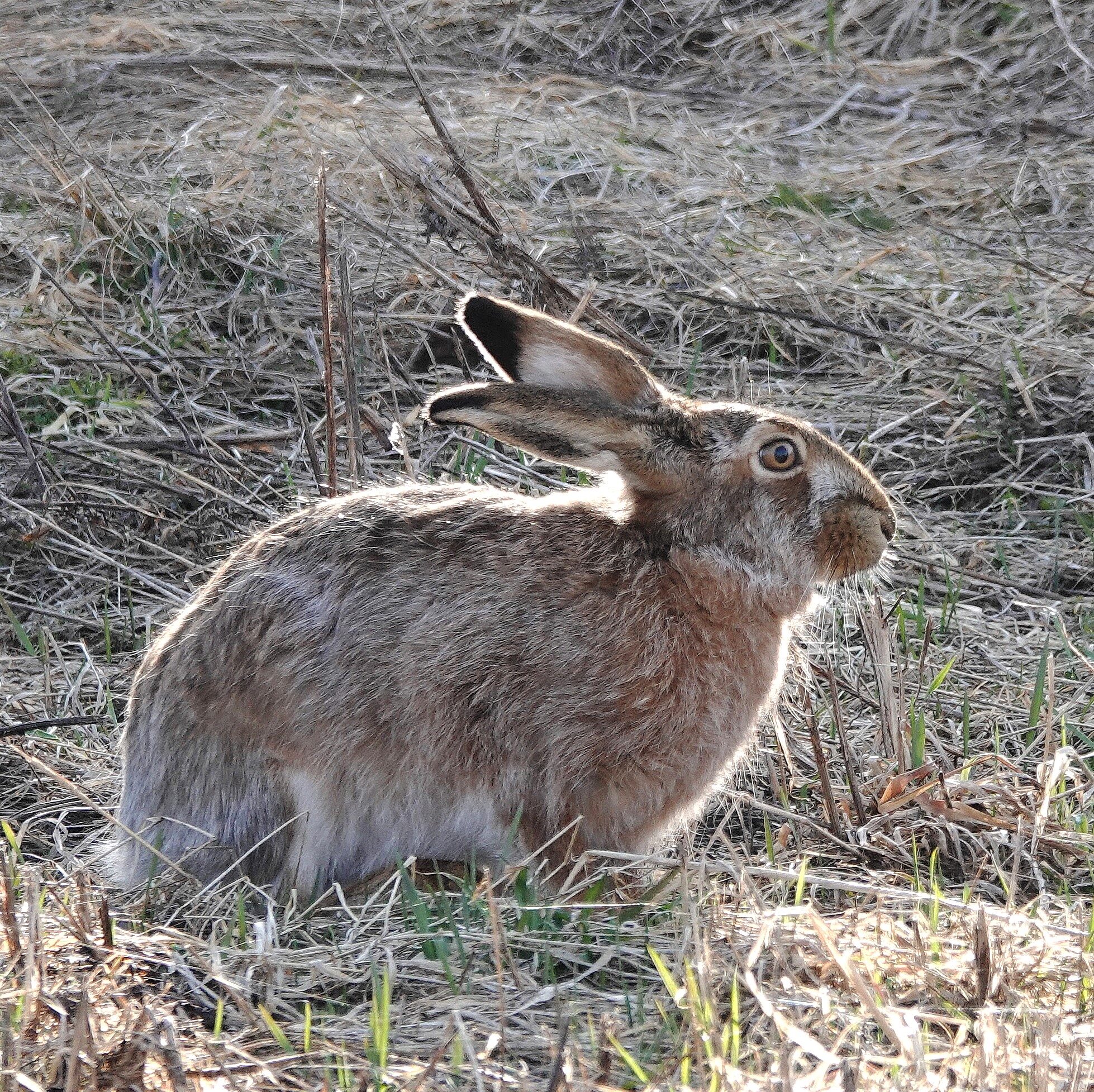 Valokuvaaja: Raija Oksanen