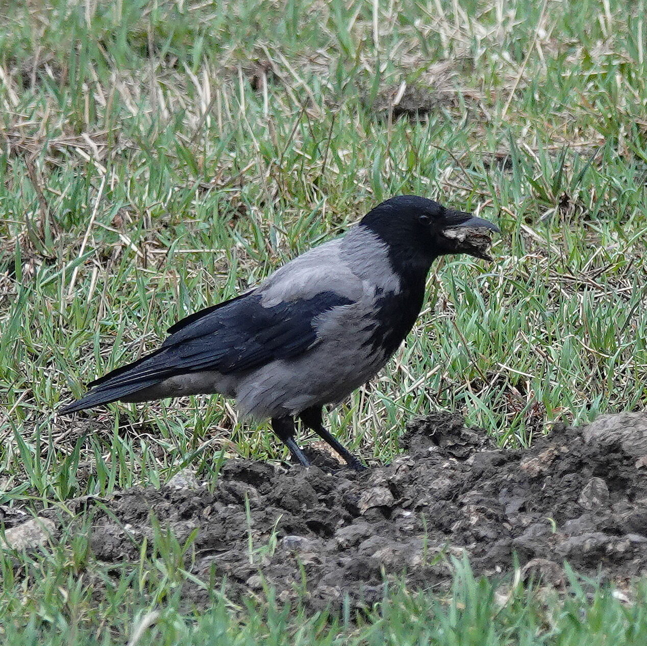 Valokuvaaja: Raija Oksanen