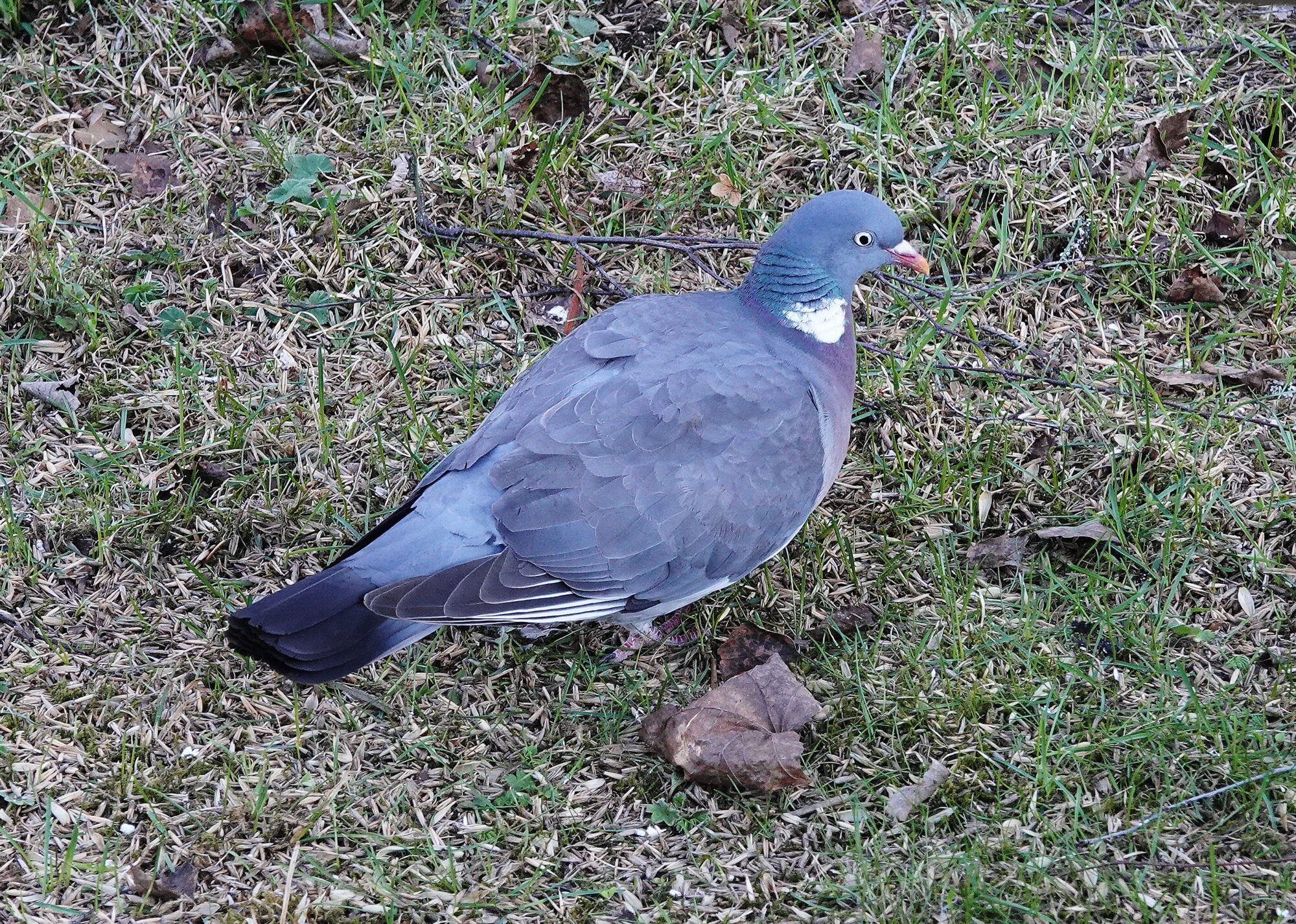 Valokuvaaja: Raija Oksanen