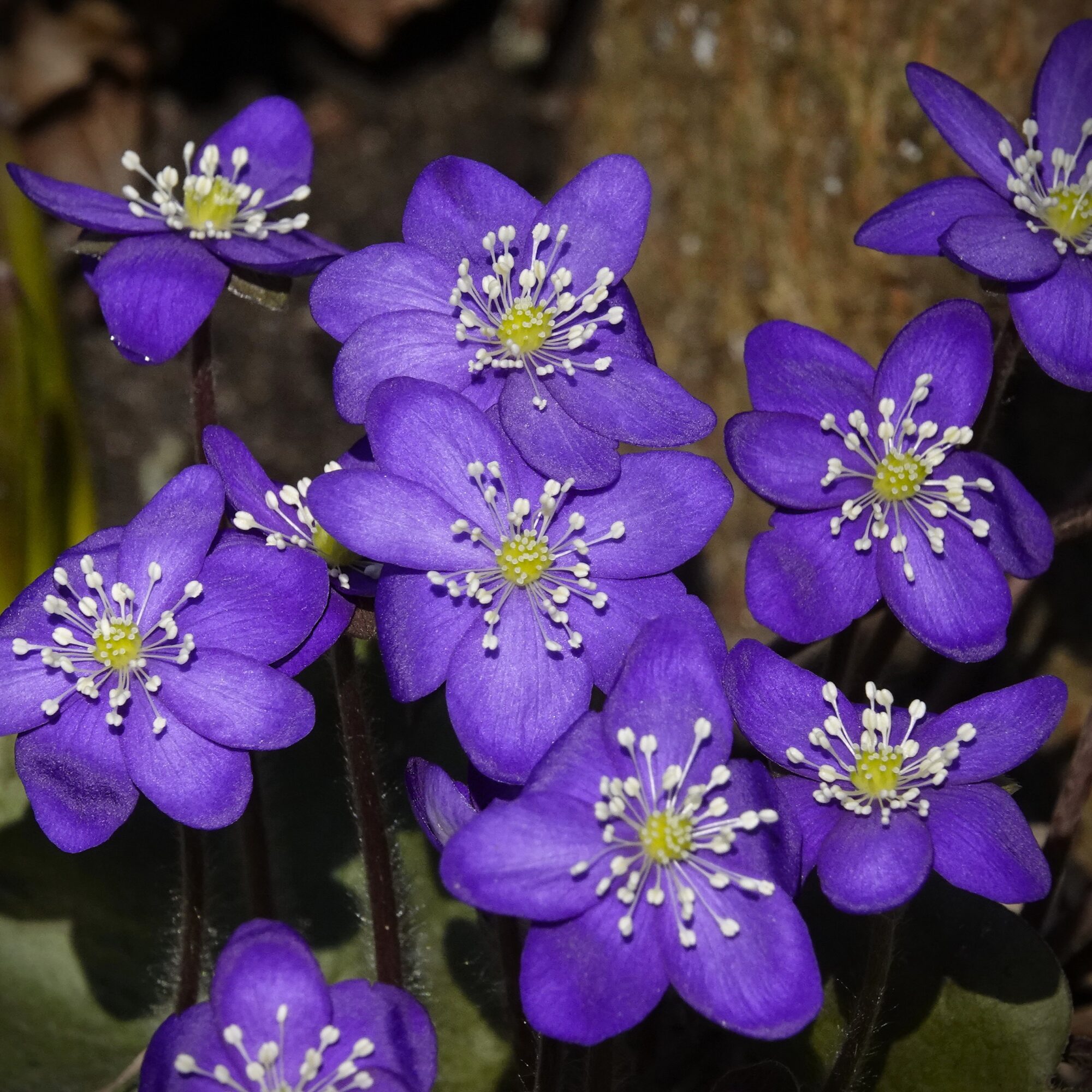 Valokuvaaja: Maarit Siitonen