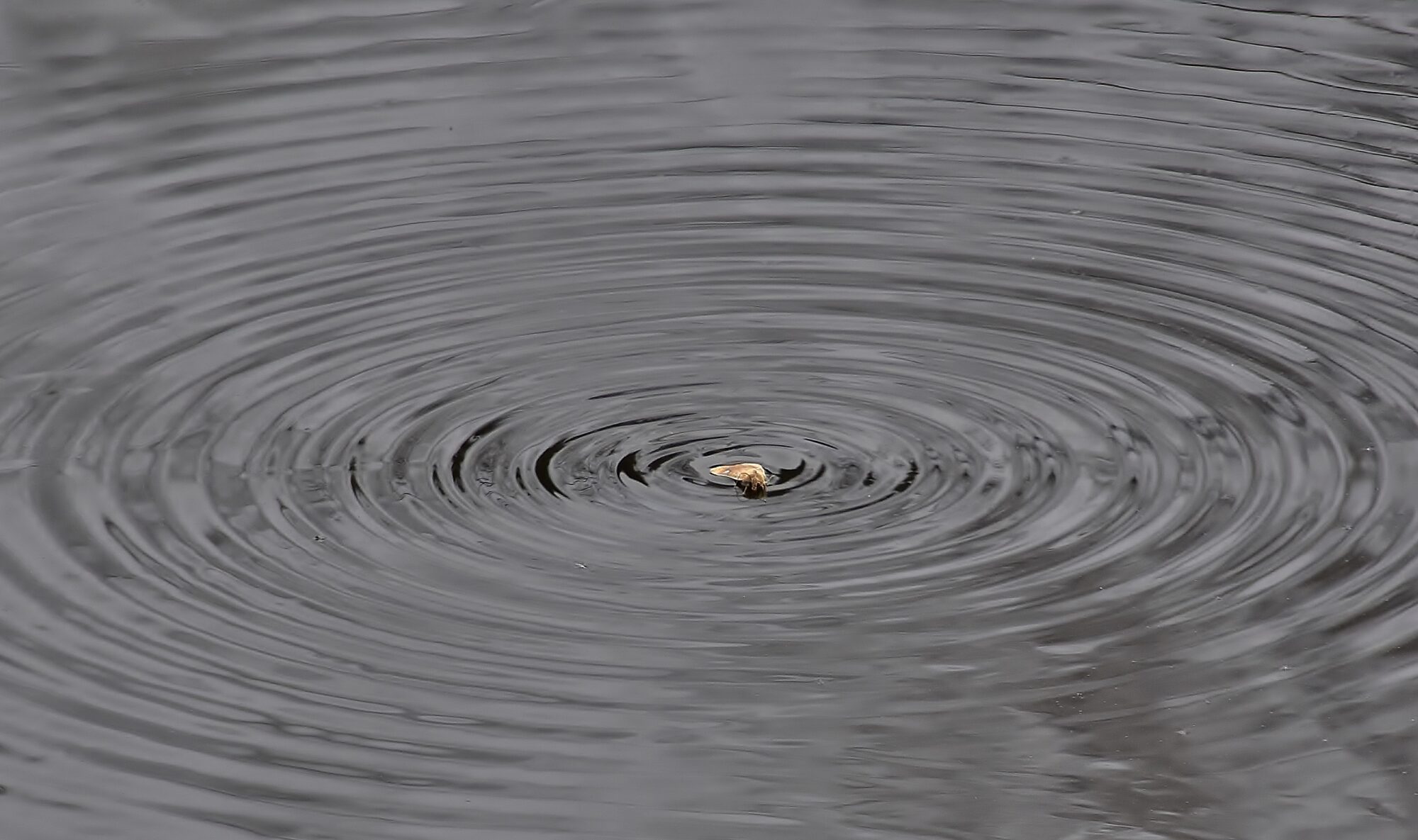 Valokuvaaja: Markku Pelkonen