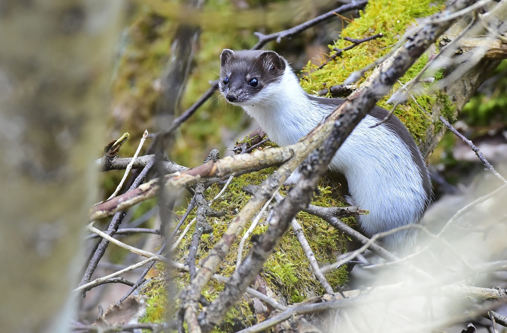 Valokuvaaja: Markku Pelkonen