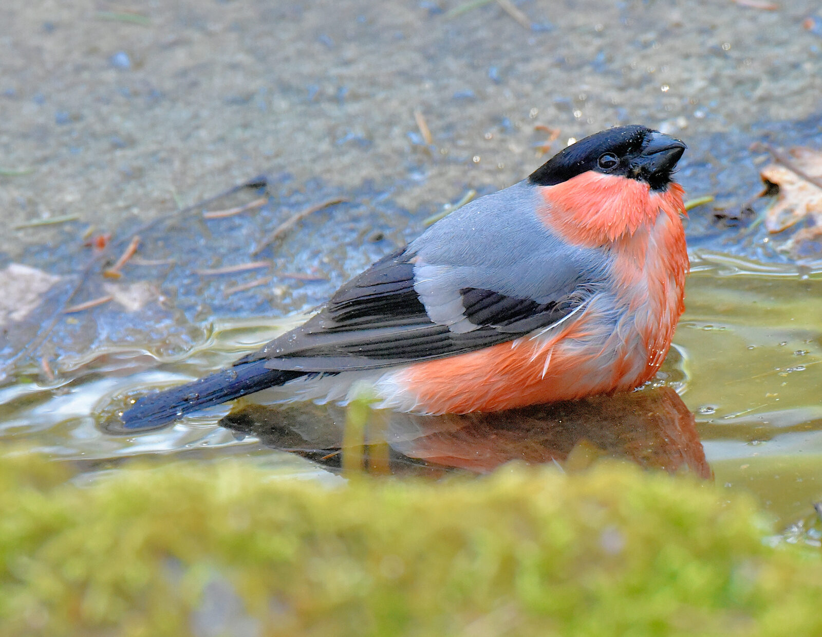 Valokuvaaja: Reijo Juurinen