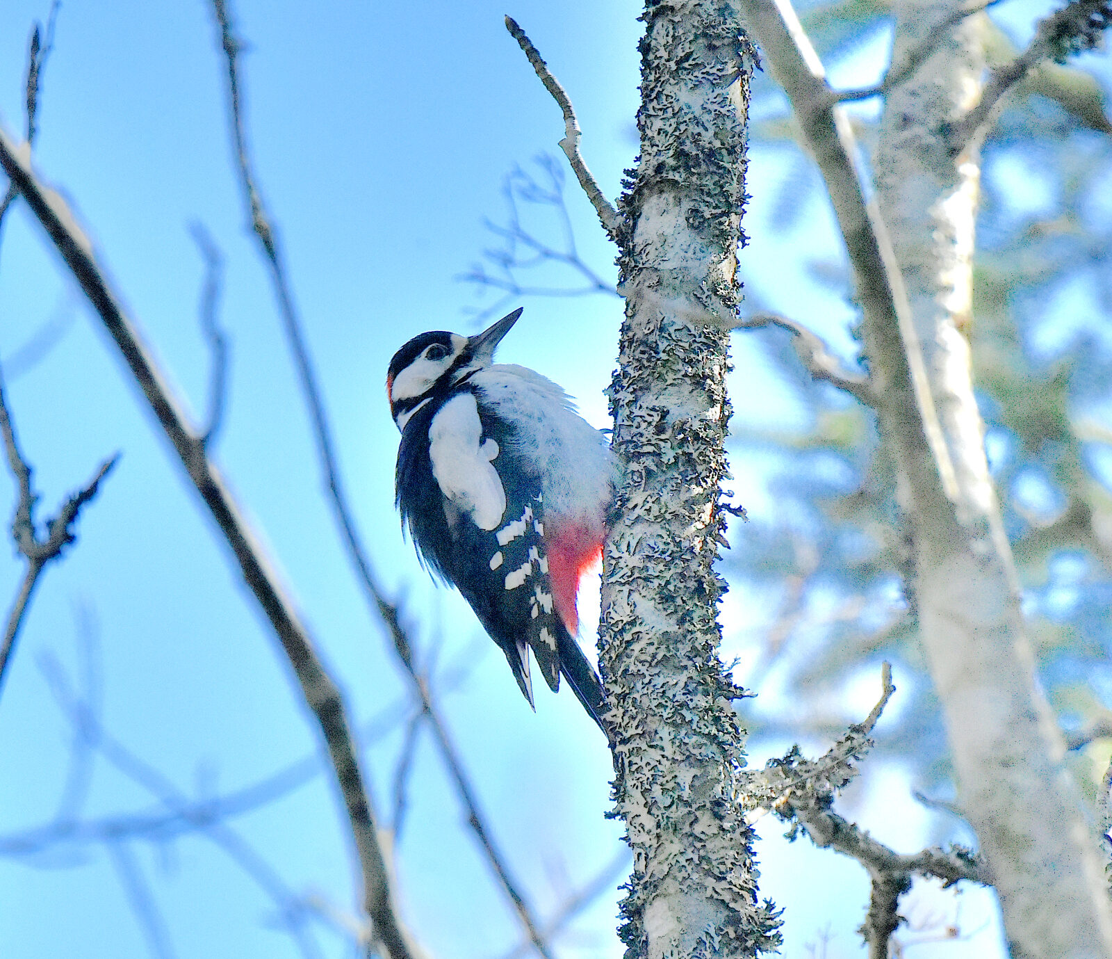 Valokuvaaja: Reijo Juurinen