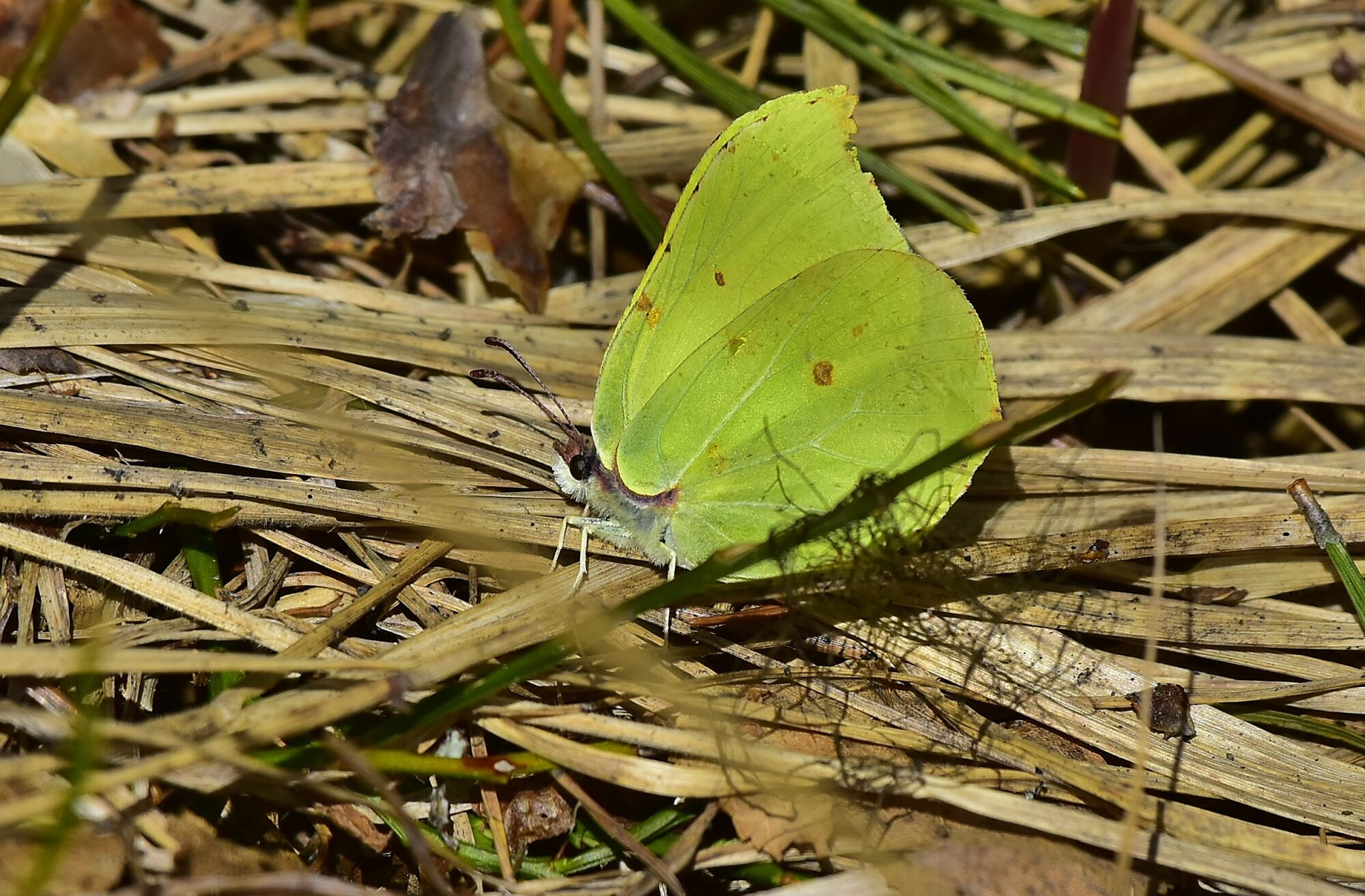 Valokuvaaja: Markku Pelkonen