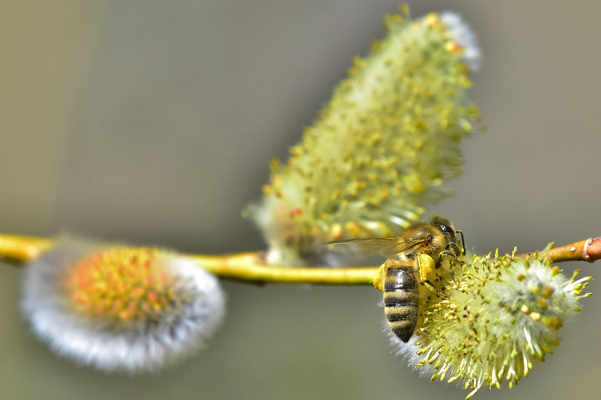 Valokuvaaja: Markku Pelkonen